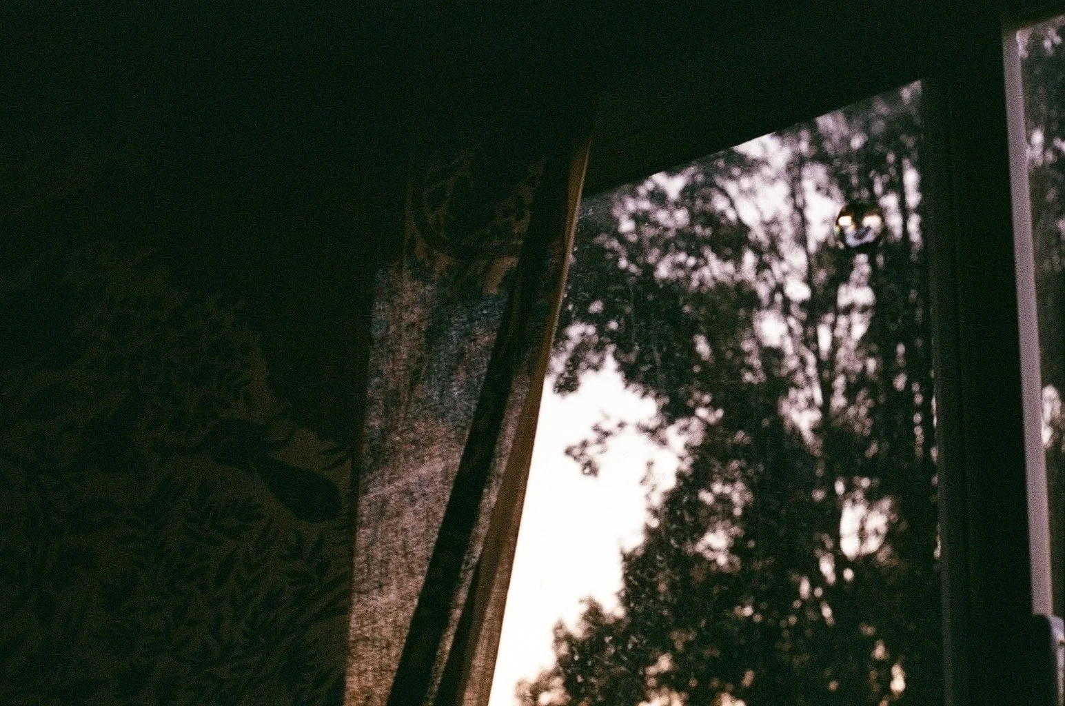 9966_02.jpg