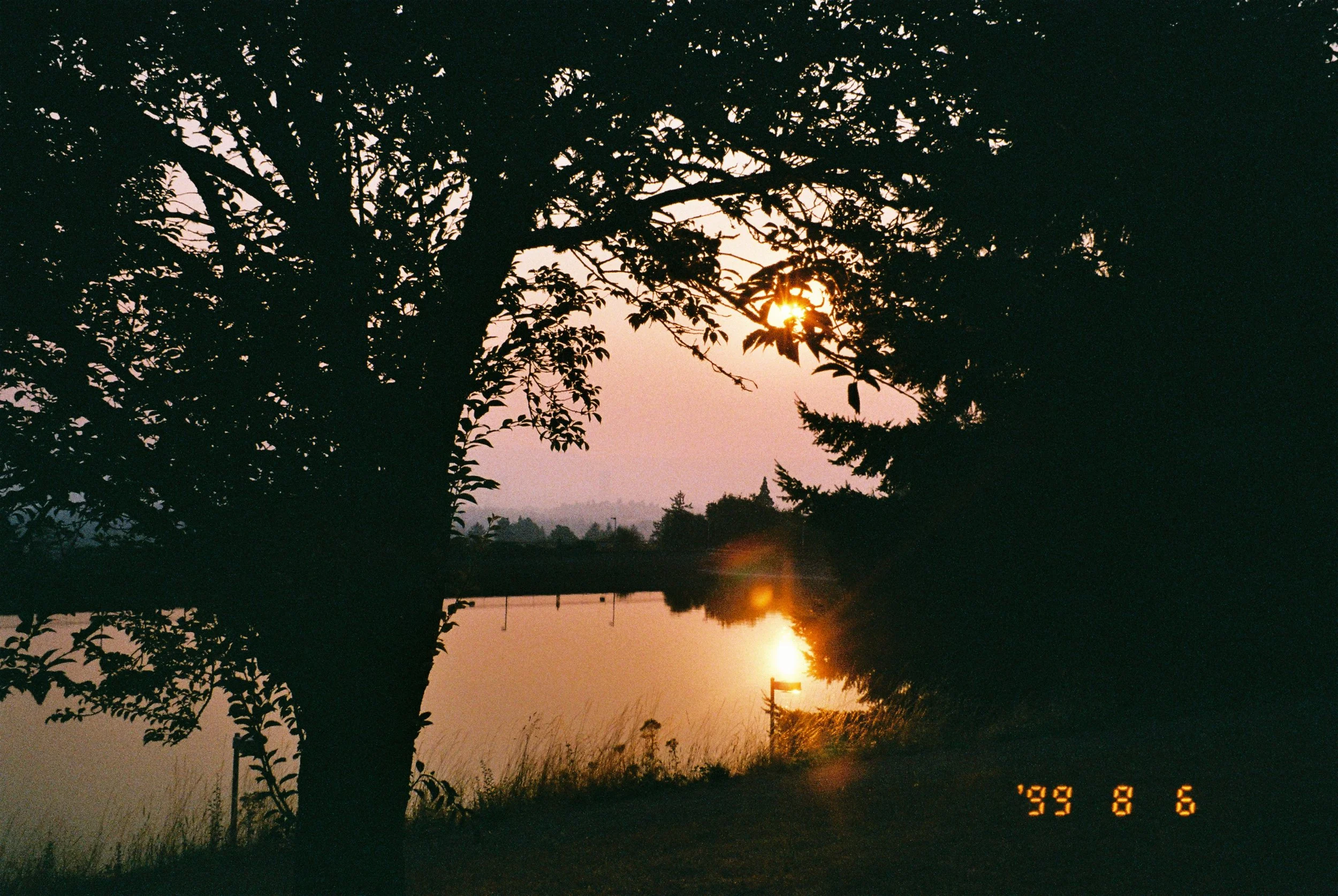 1590883-R1-01-23A.jpg