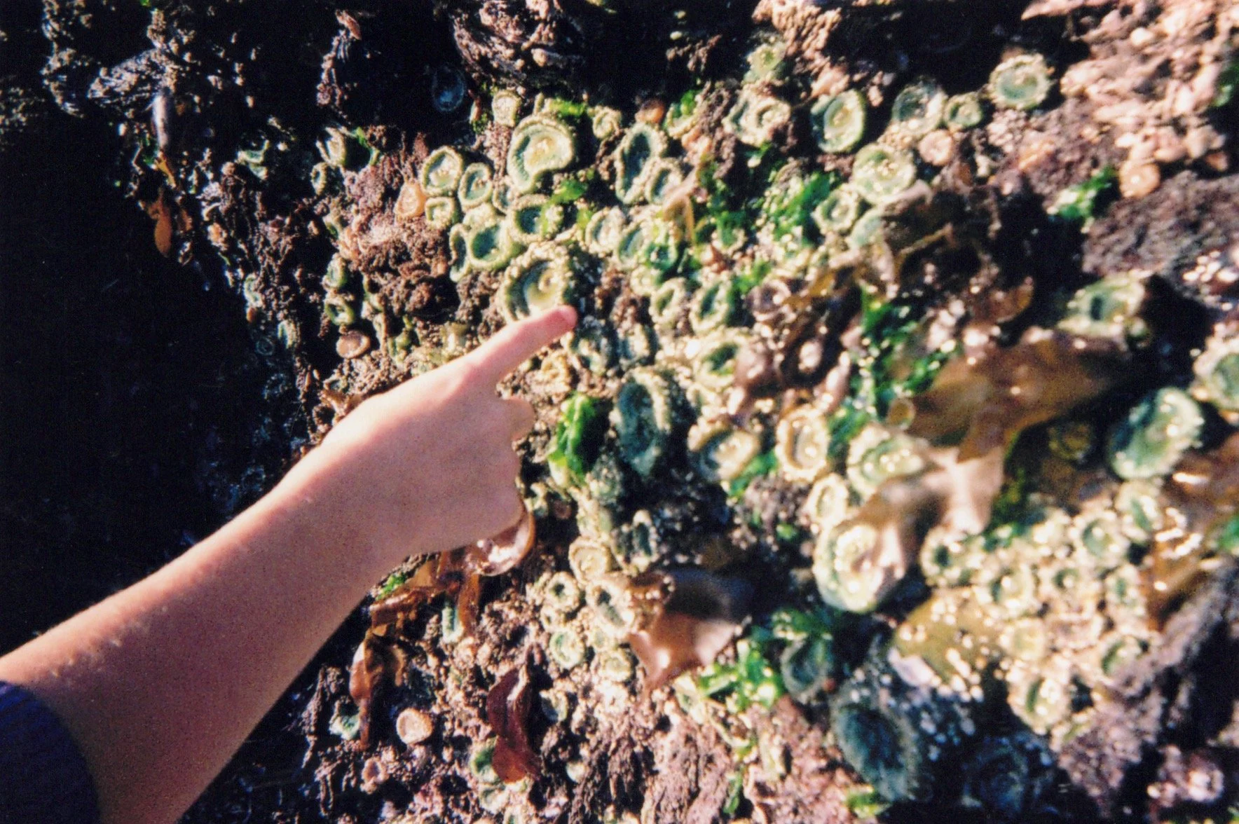 Image_20260512_0150.jpg