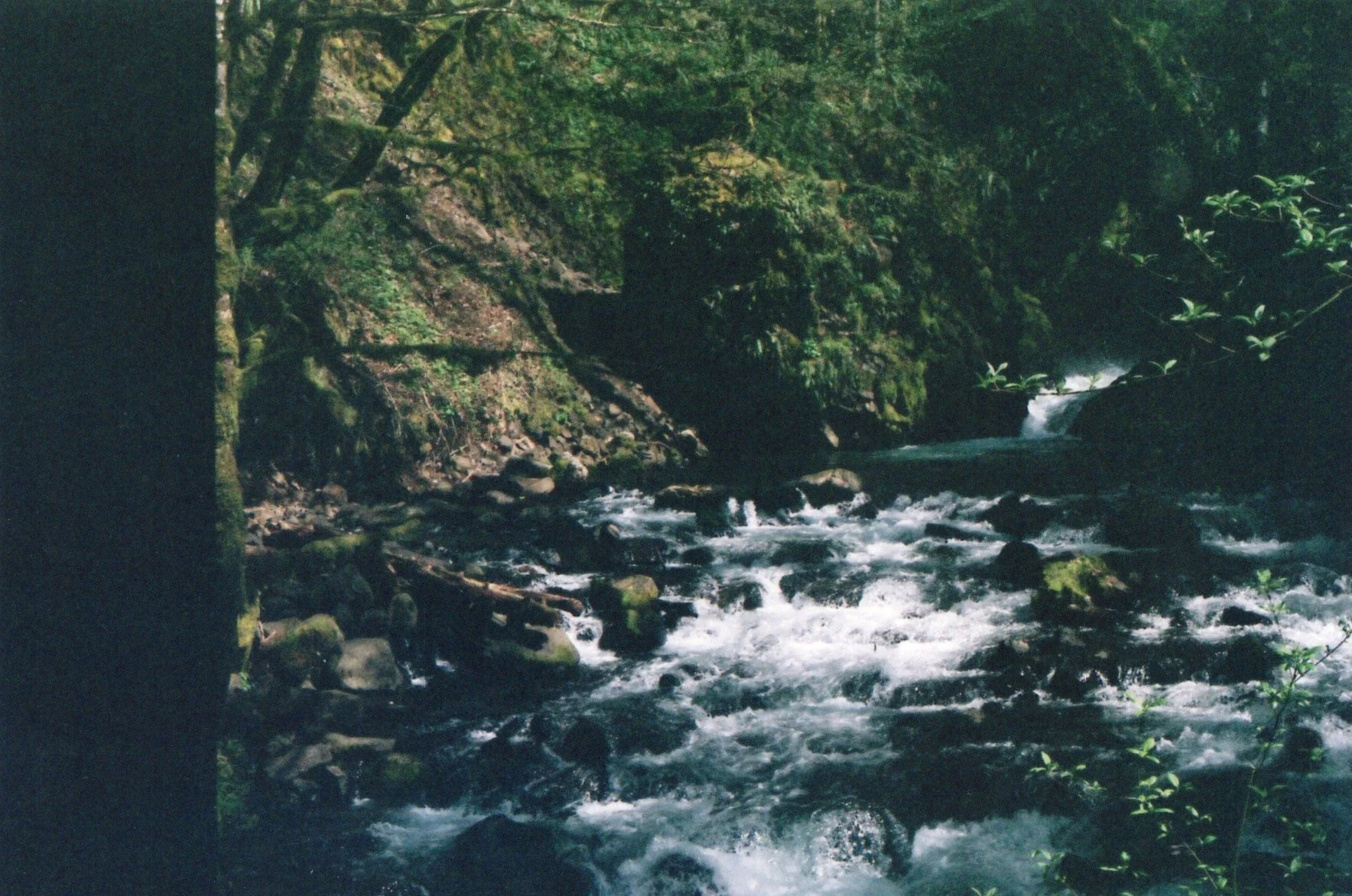 Image_20260513_0013.jpg