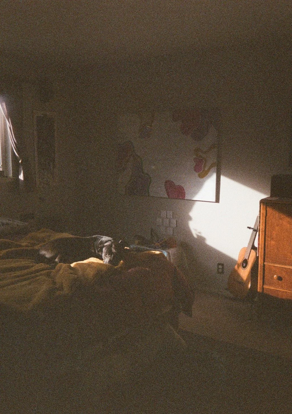 000946450022_13.jpg
