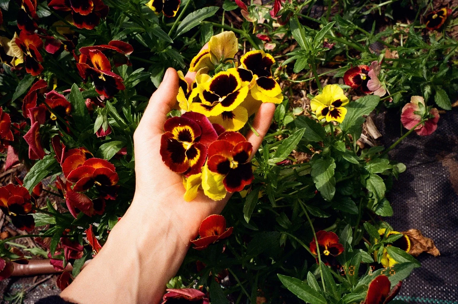 001048000019_19A.jpg