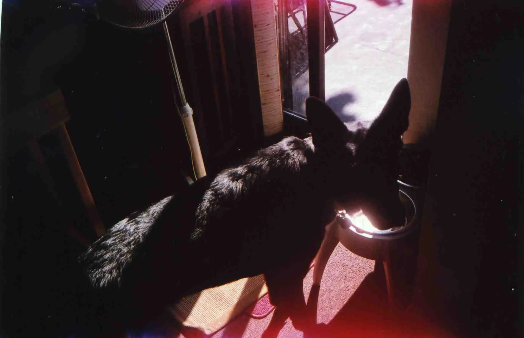 img021.jpg