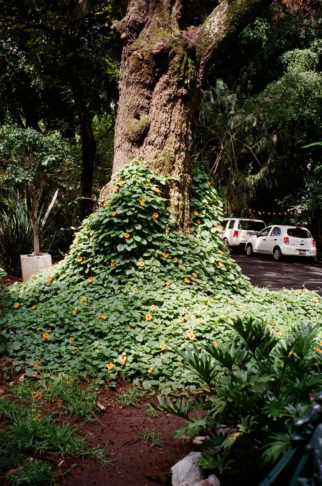 9963_26A.jpg