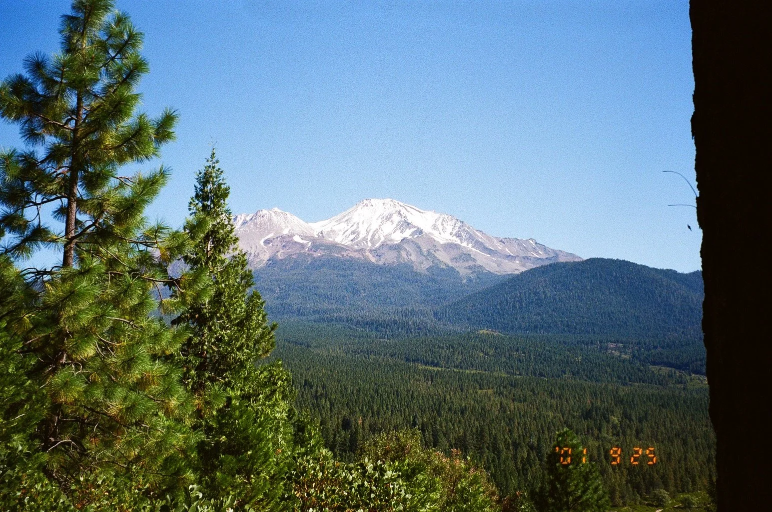 8793_33.jpg