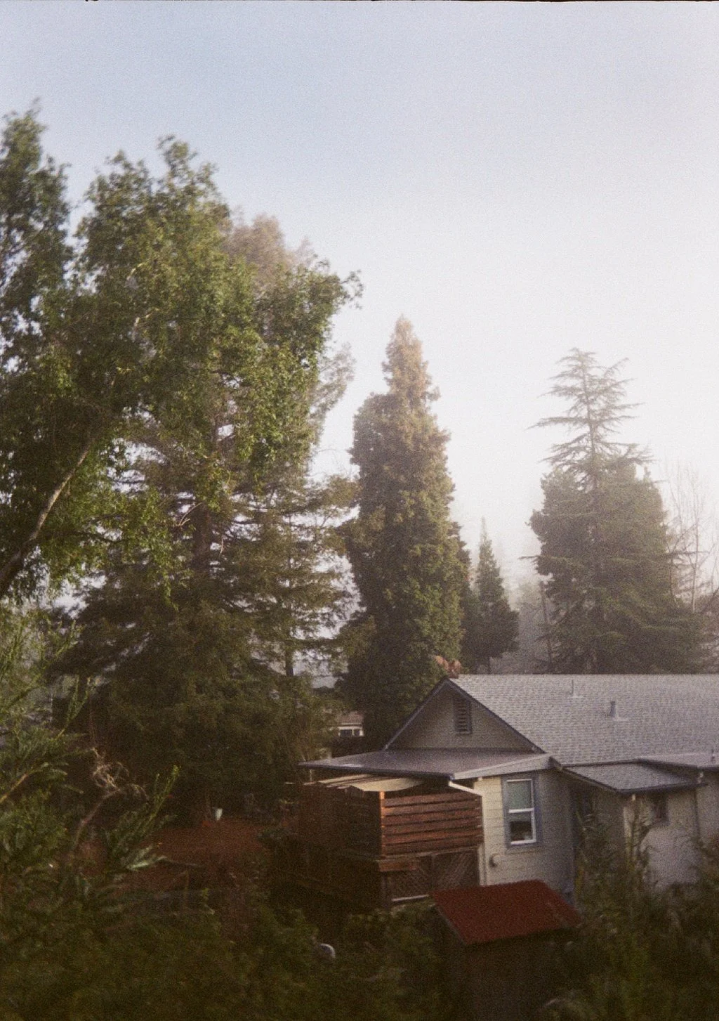 000946450036_20A.jpg