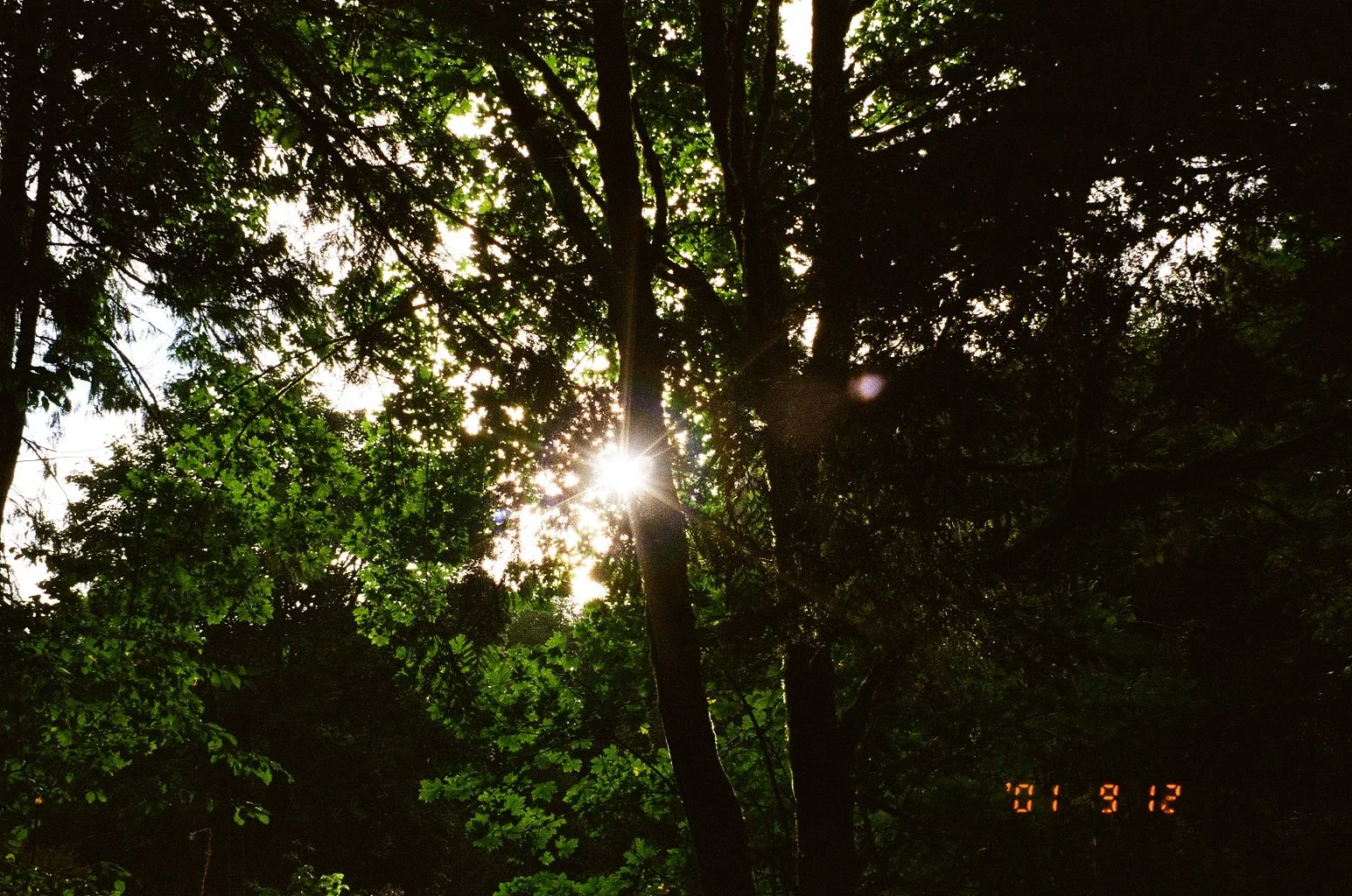 8793_27.jpg