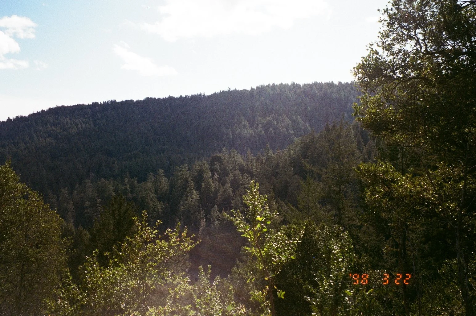 9964_24.jpg