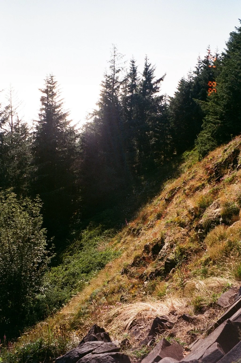 9970_05.jpg