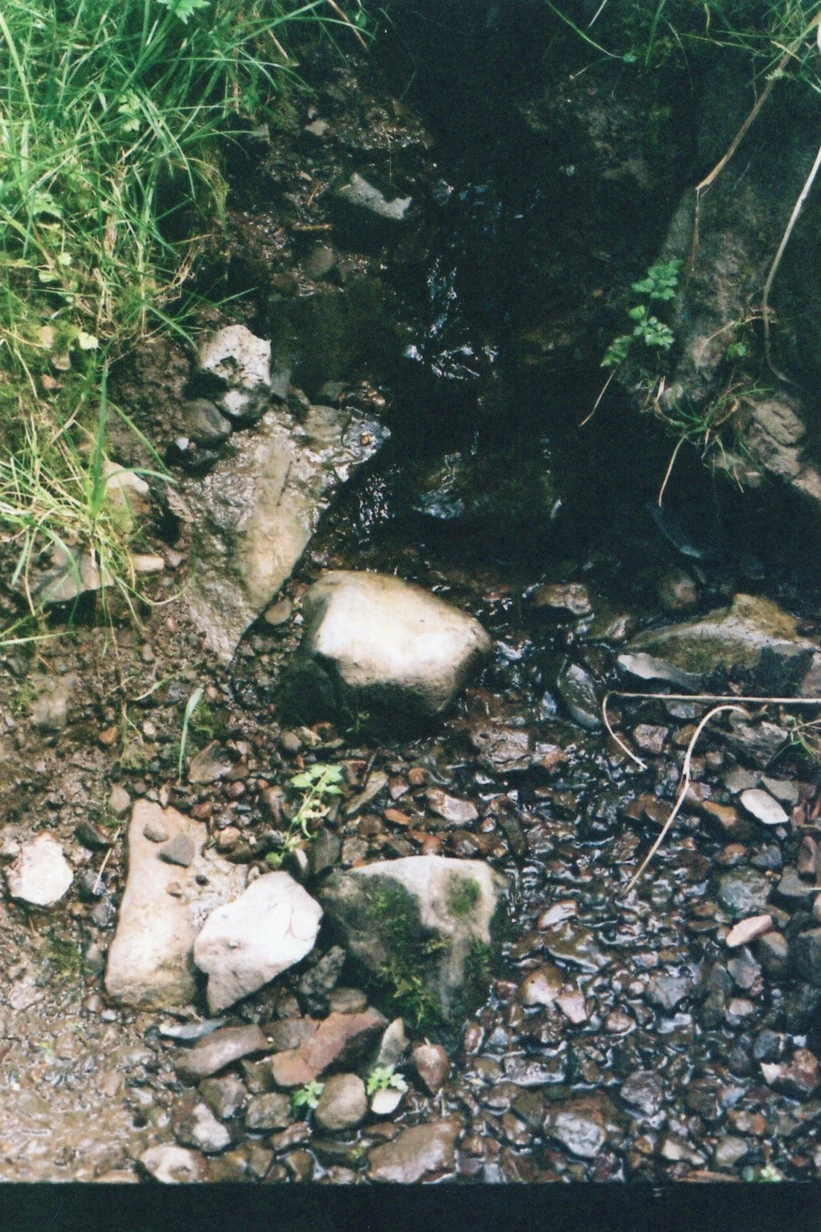 Image_20260513_0011.jpg
