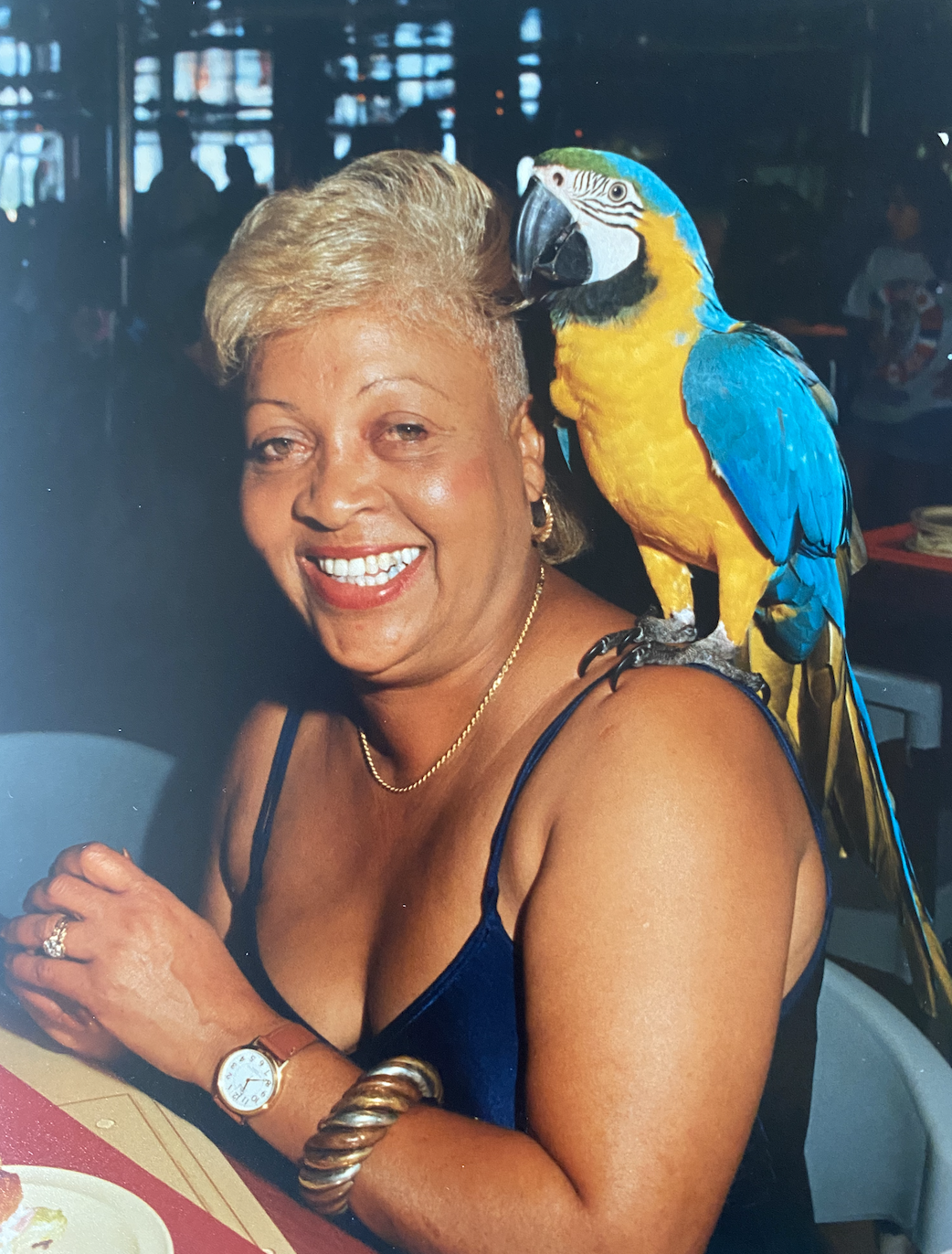 Screen Shot 2022-01-26 at 10.02.19 PM.png