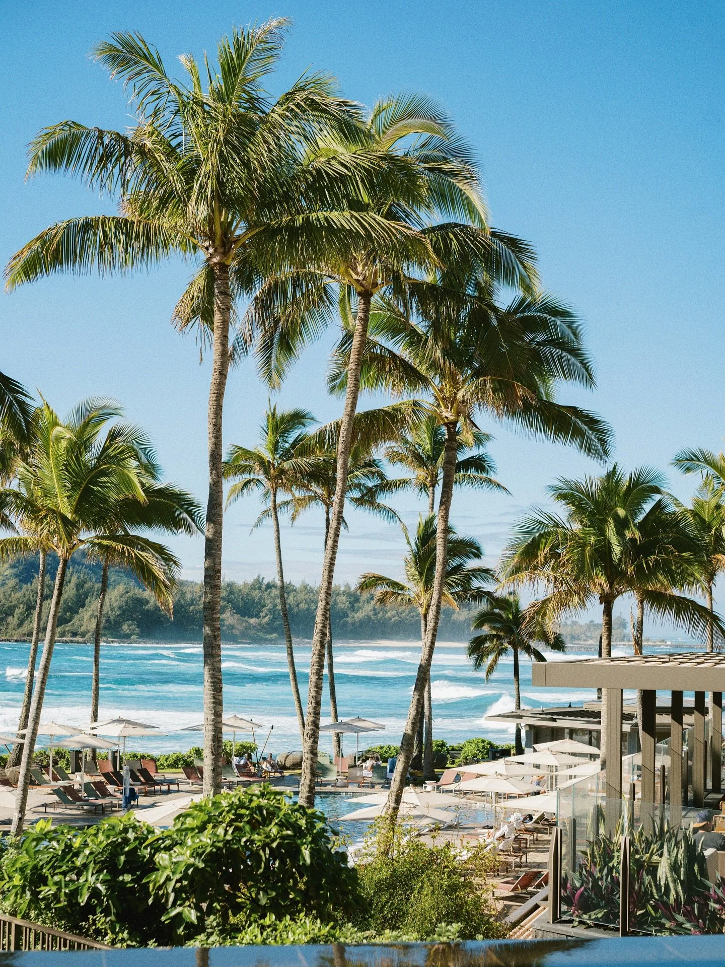 morning at Turtle Bay 🐢

#turtlebayresort #turtlebay #northshoreoahu #oahu #hawaiitrip