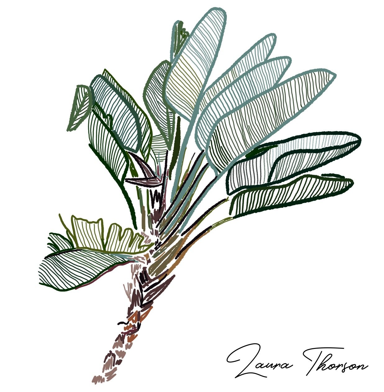 Palm Tree - digital art designed in Procreate by Laura