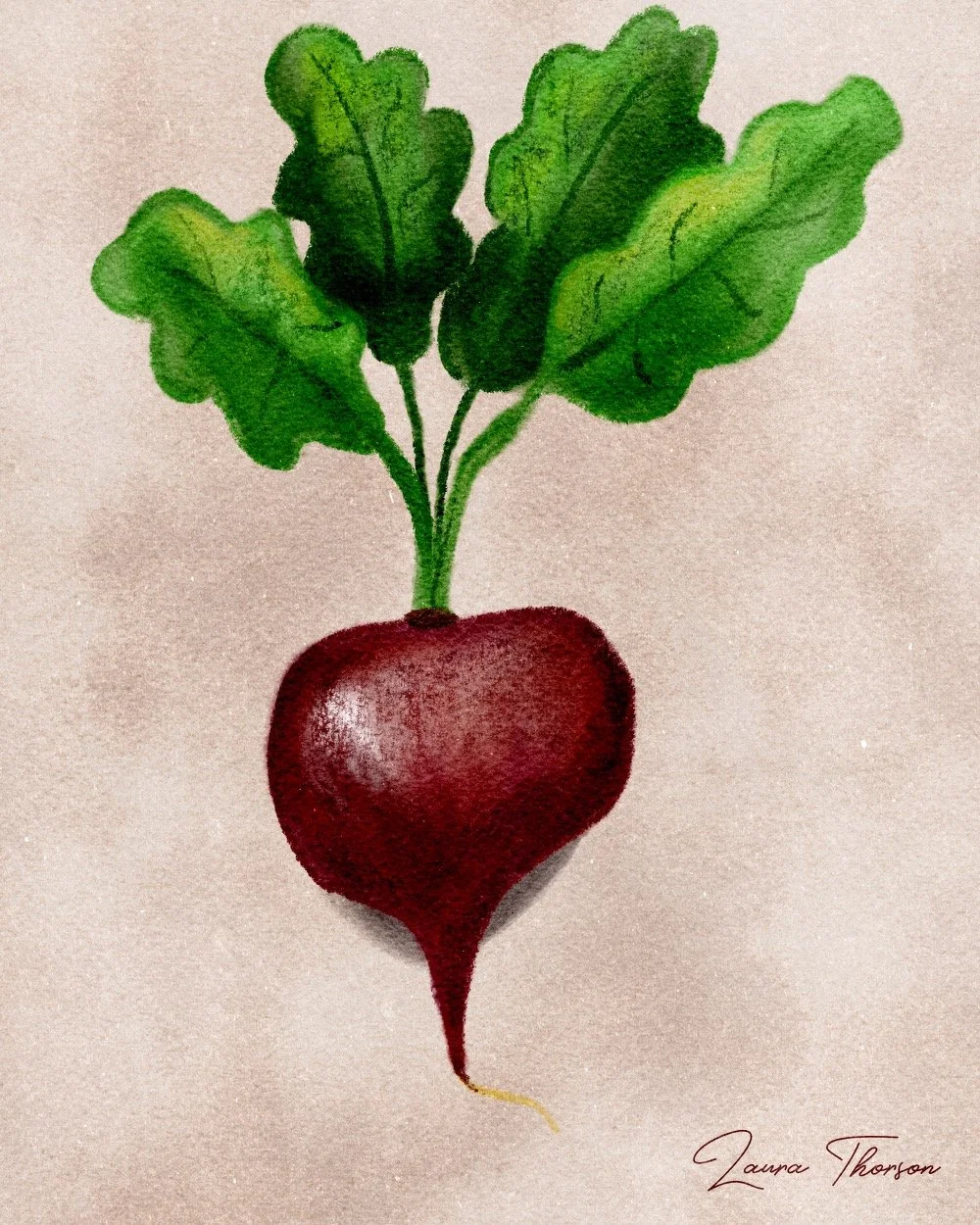 Radish - digital art designed in Procreate by Laura