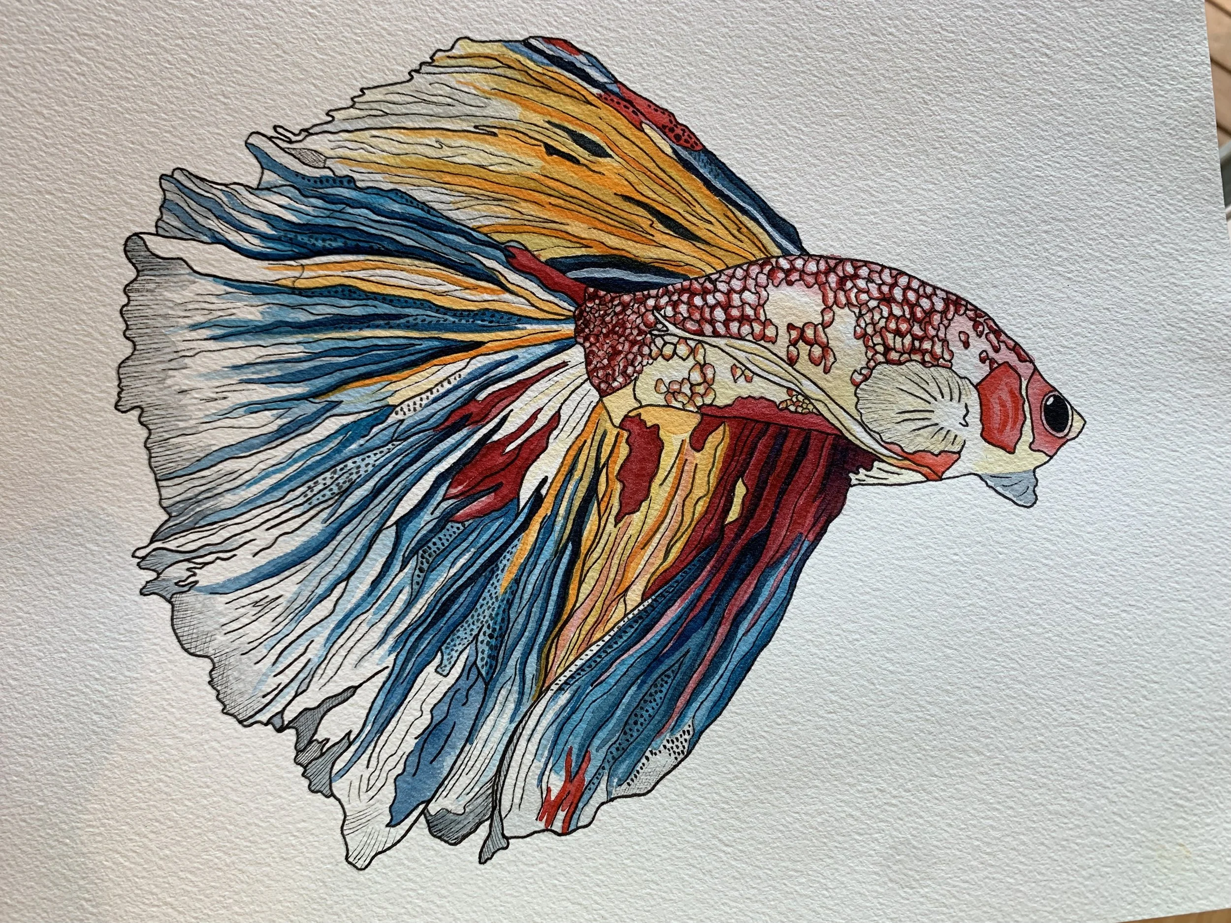 Beta fish - designed & painted by Laura