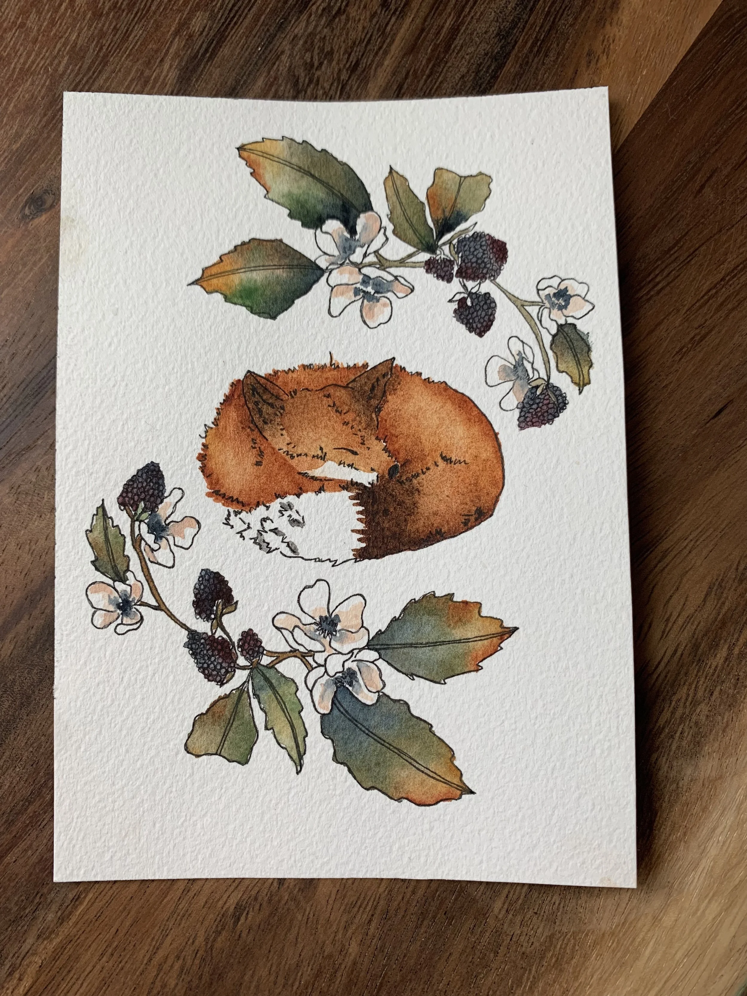 Fox & Blackberries - designed by Sarah Simon. painted in watercolor and ink by Laura