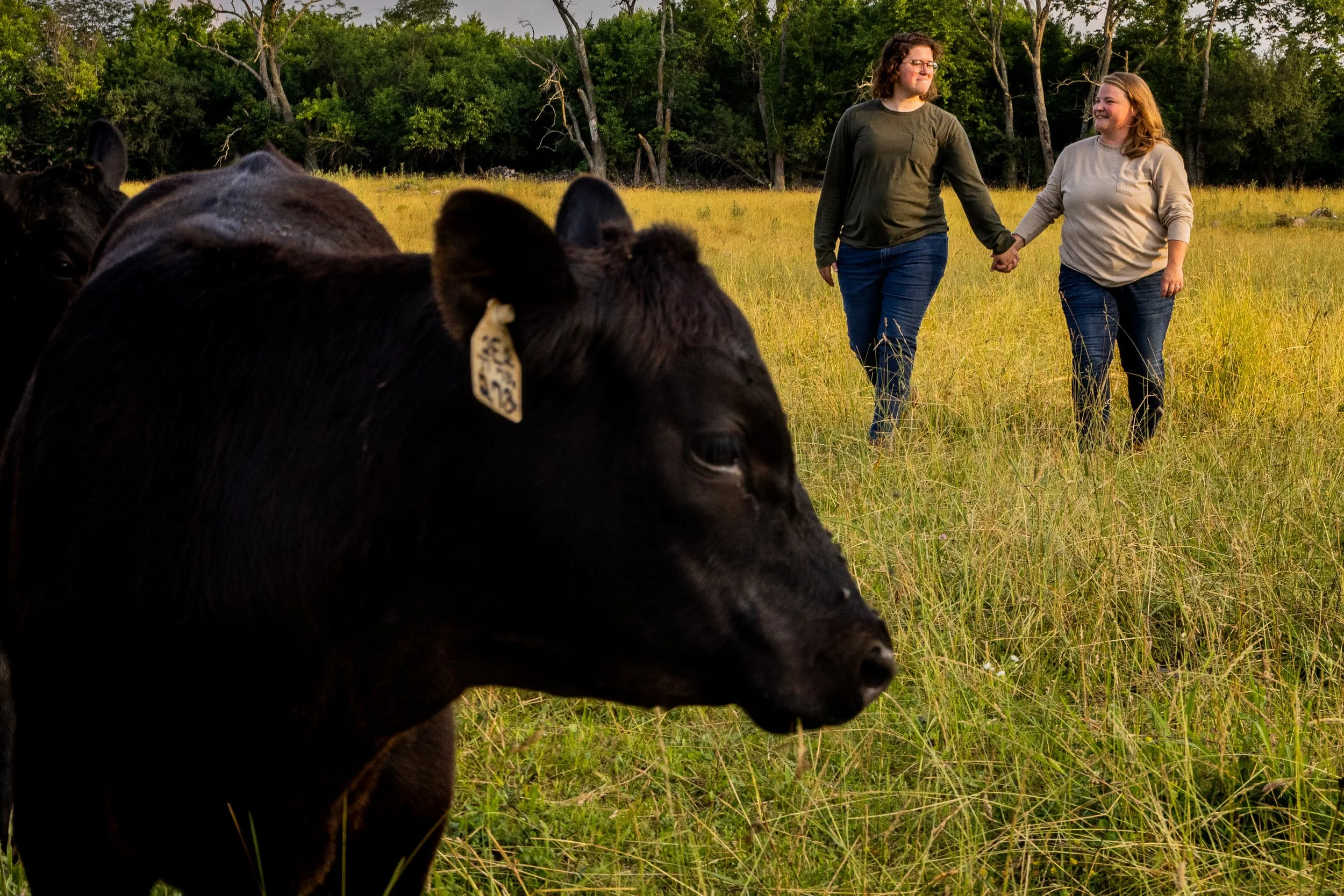 Washington_DC_Elopement_Cow_Farm_Catherine&Emily-6632.jpg