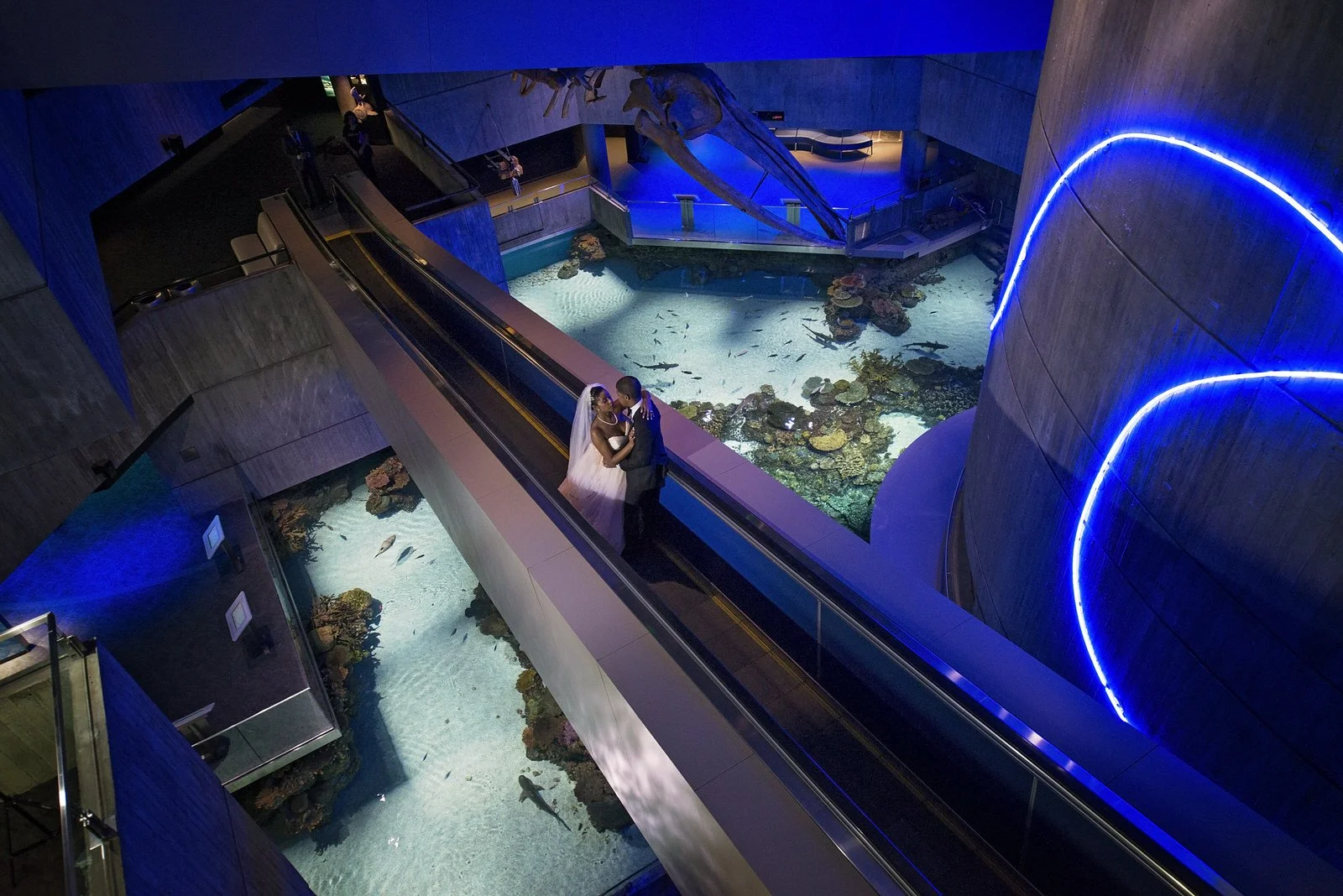 BaltimoreAquariumWedding-L'Oreal&Jeff1139.jpg