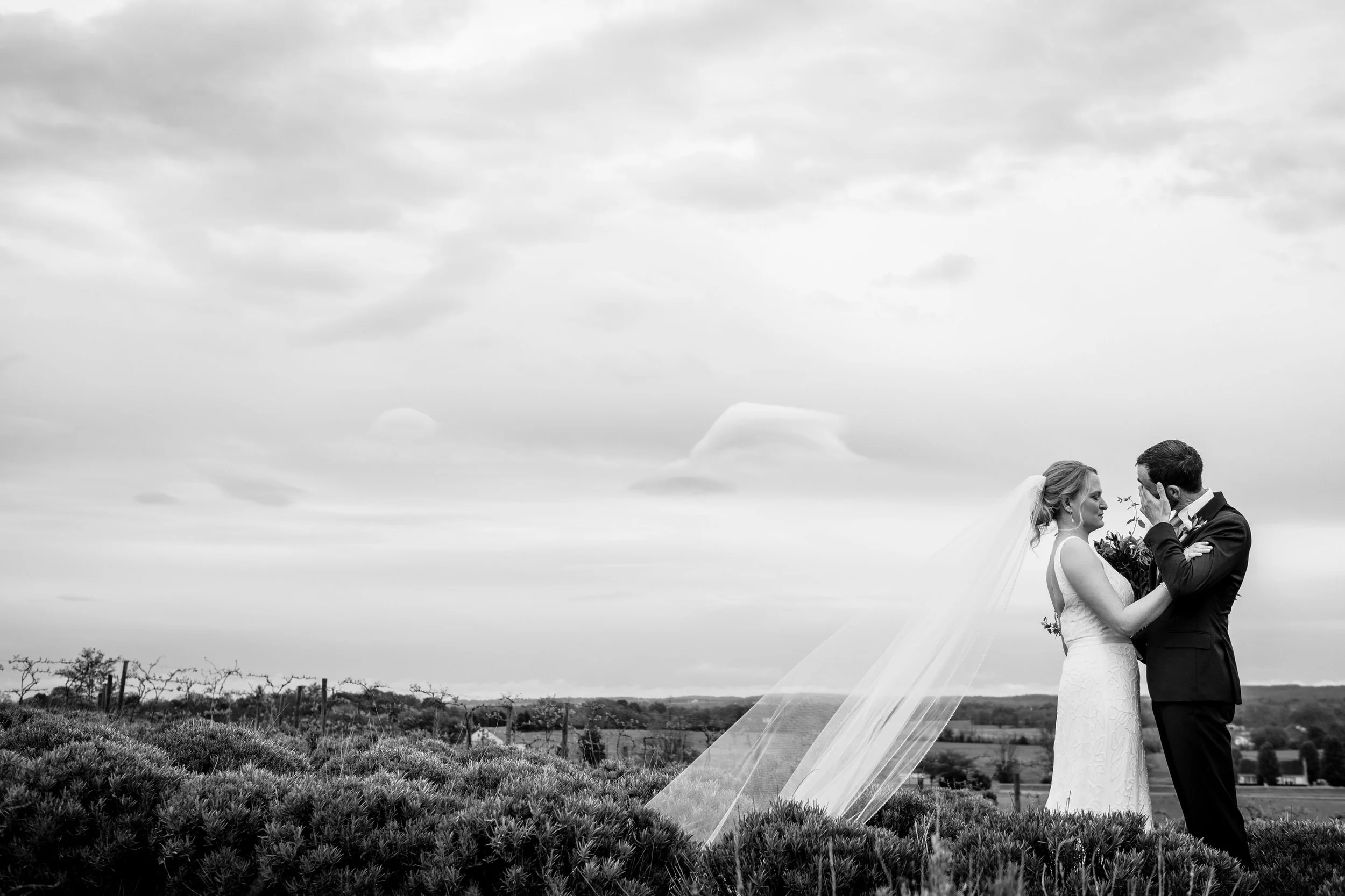 Springfield_Manor_Wedding_Sarah&Kevin_Portraits-1983.jpg
