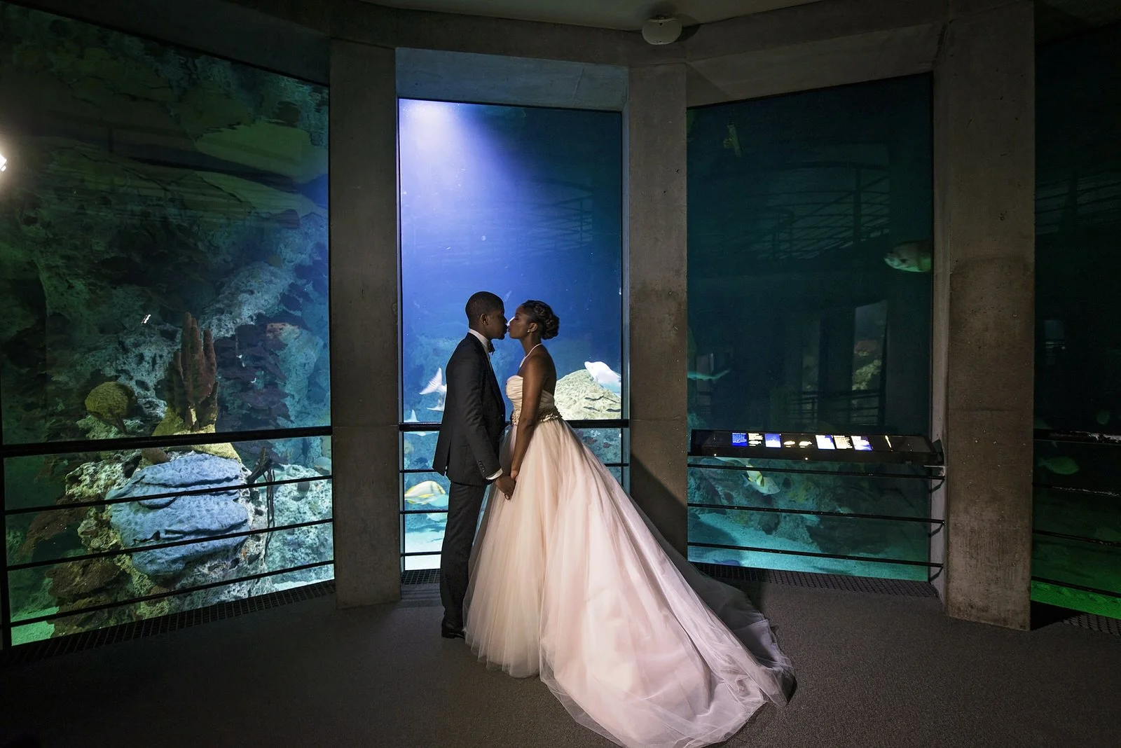 BaltimoreAquariumWedding-L'Oreal&Jeff749.jpg