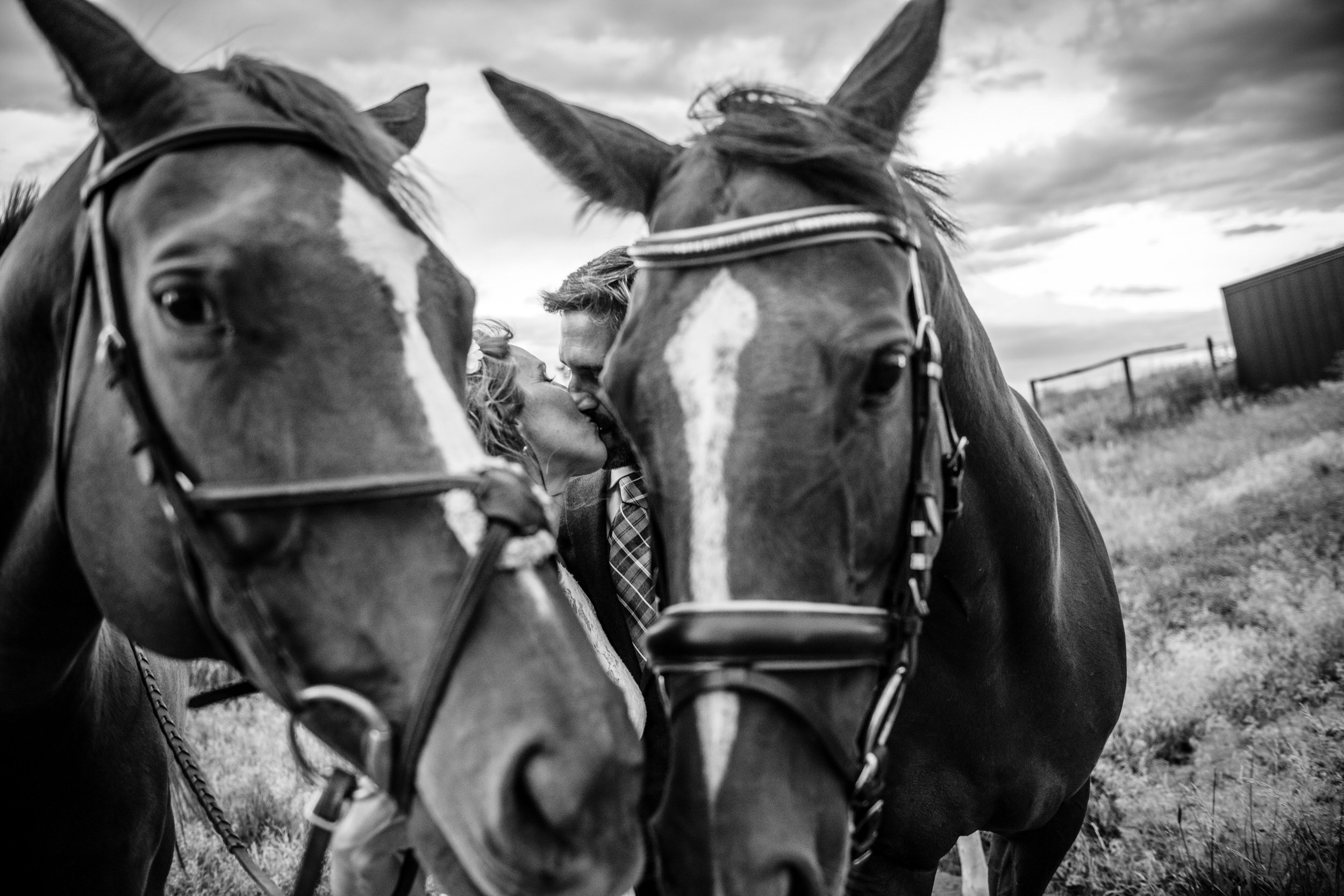 HorseFarmWedding-ParkerColorado-Ashley&Jonathan-5181.jpg