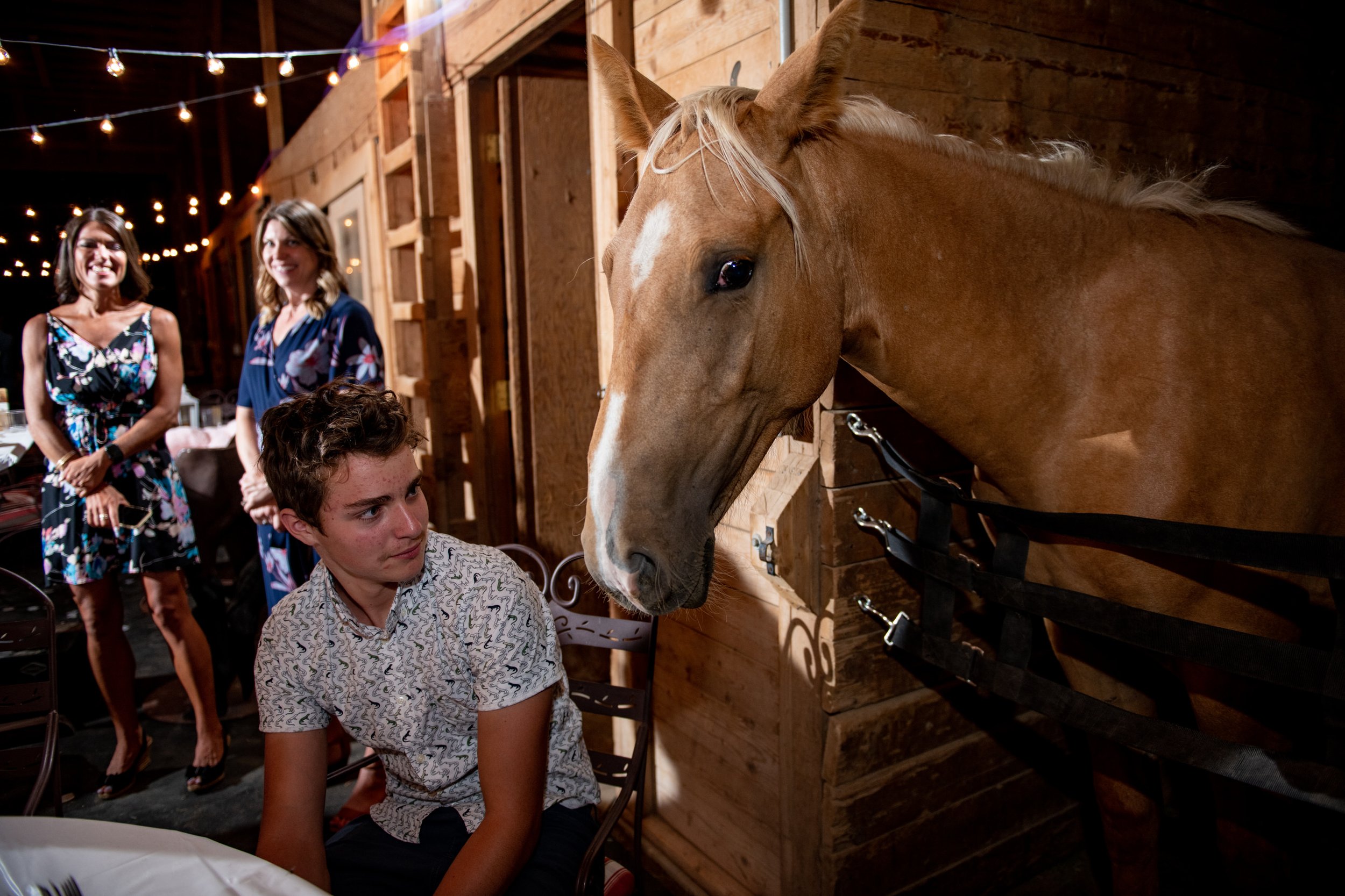 HorseFarmWedding-ParkerColorado-Ashley&Jonathan-Reception-7088.jpg