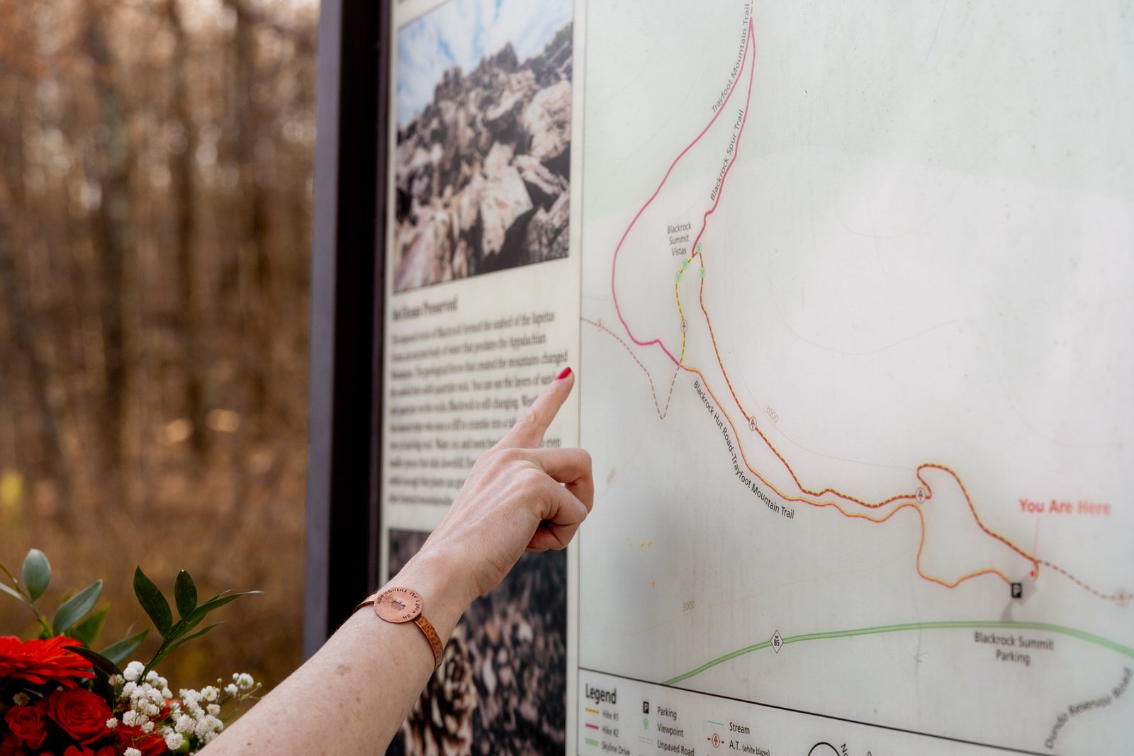 Shenandoah National Park Elopement _ Cathy&Peter-6923.jpg