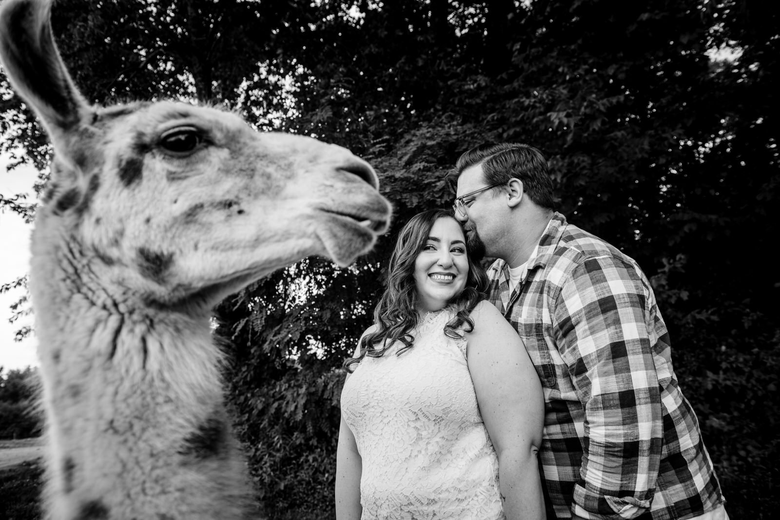 Llama_Engagement_Session_Harpers_Ferry_West_Virginia_Melissa_&_Chris_June_2023-6612.jpg