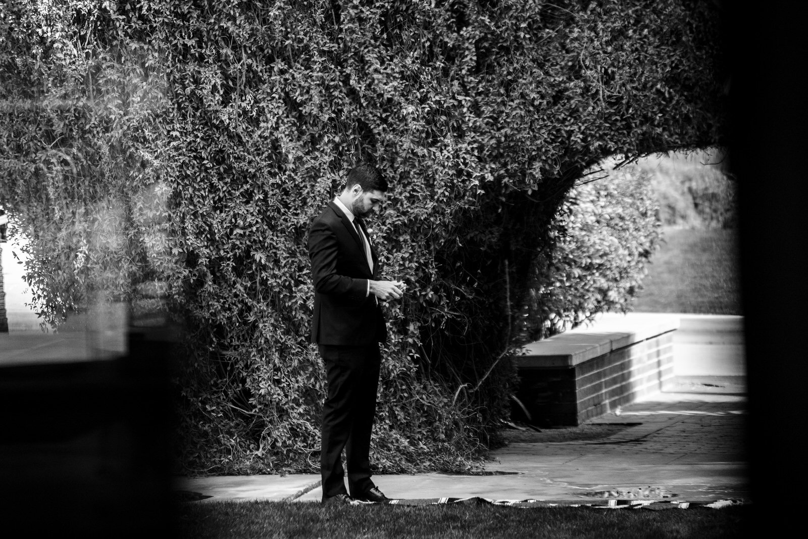 ArizonaElopement-SaguaroNationalPark-CarolineandLuke-Ceremony-3643.jpg