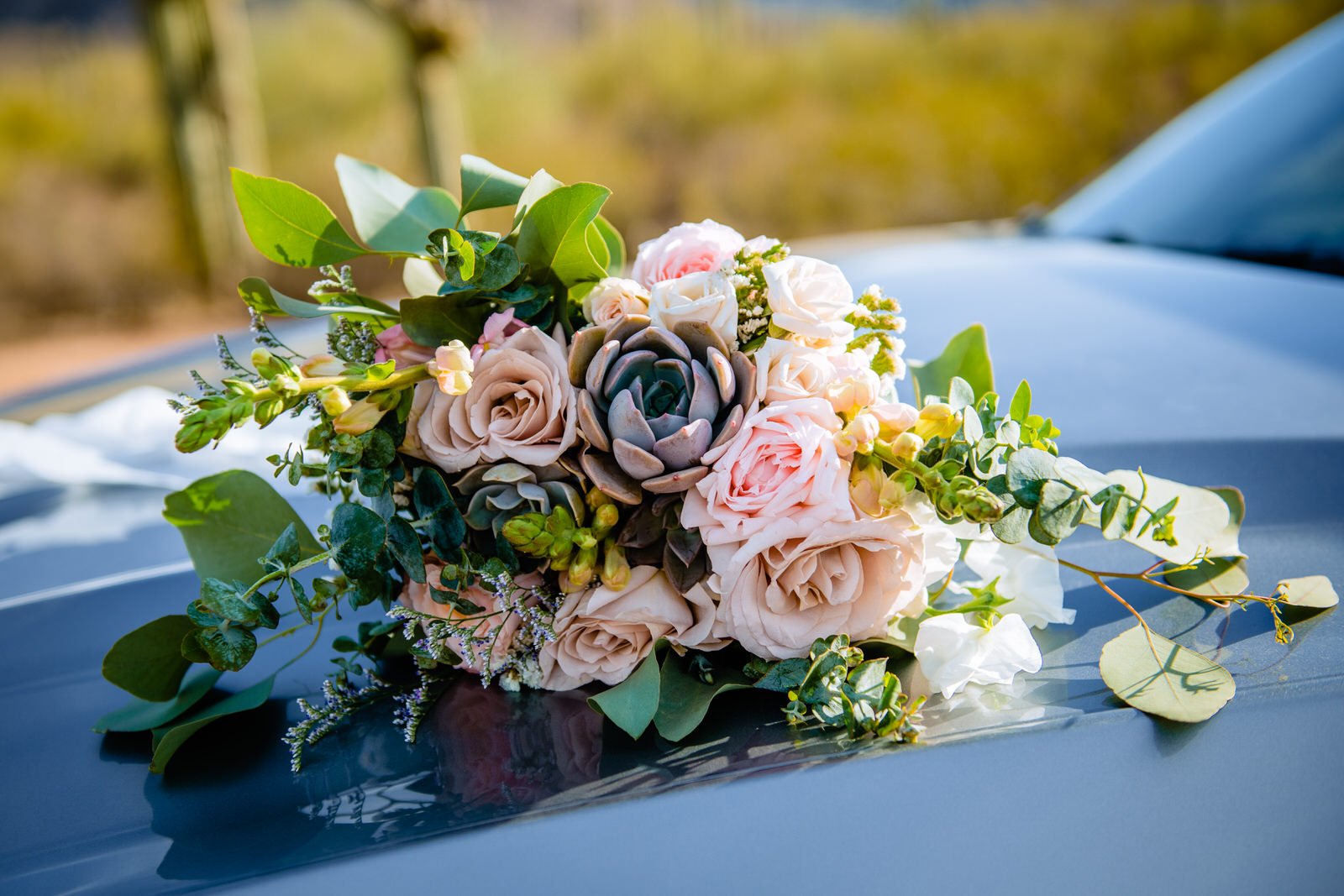 ArizonaElopement-SaguaroNationalPark-CarolineandLuke-Saguaro-5887.jpg