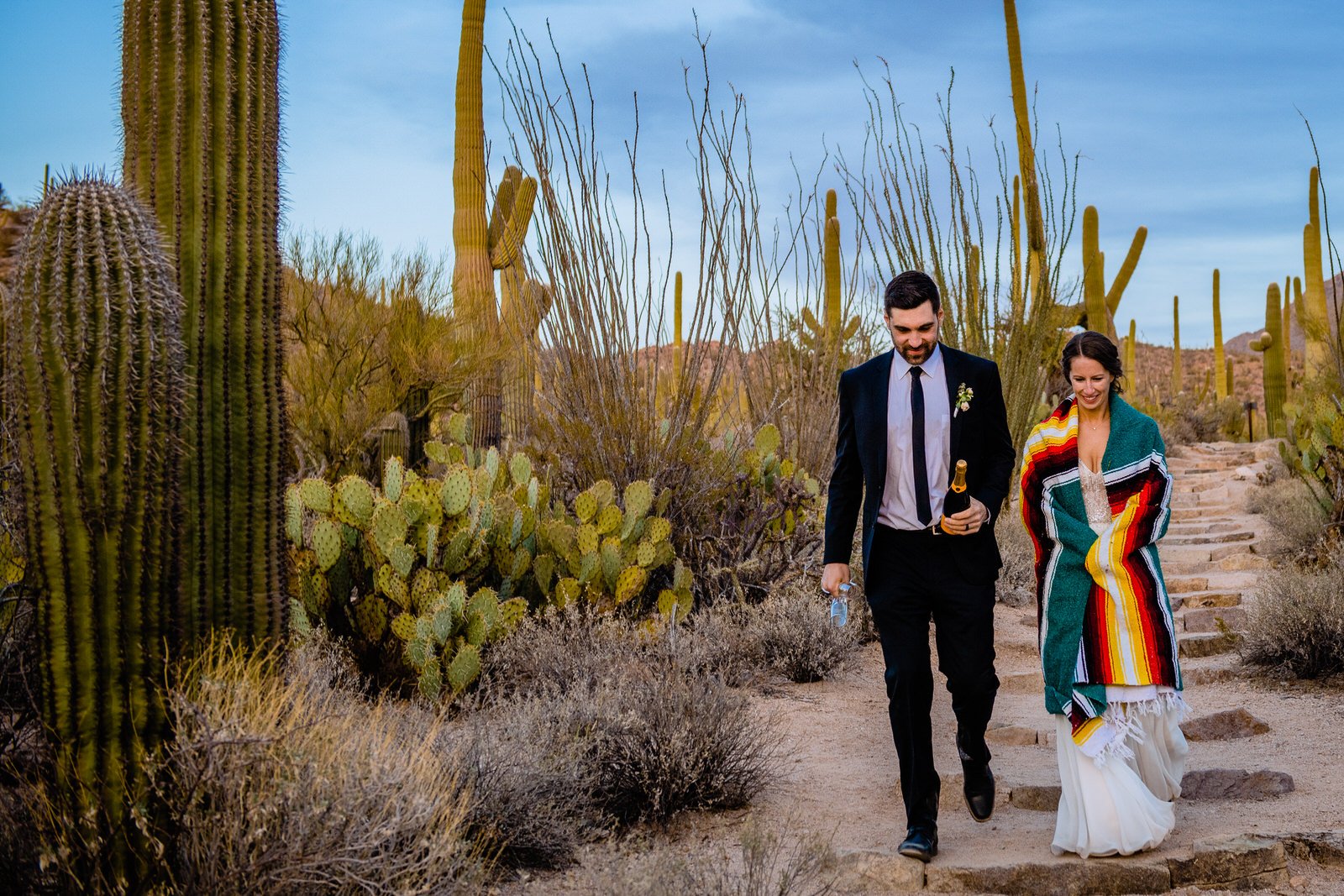 ArizonaElopement-SaguaroNationalPark-CarolineandLuke-Sunset-6149.jpg