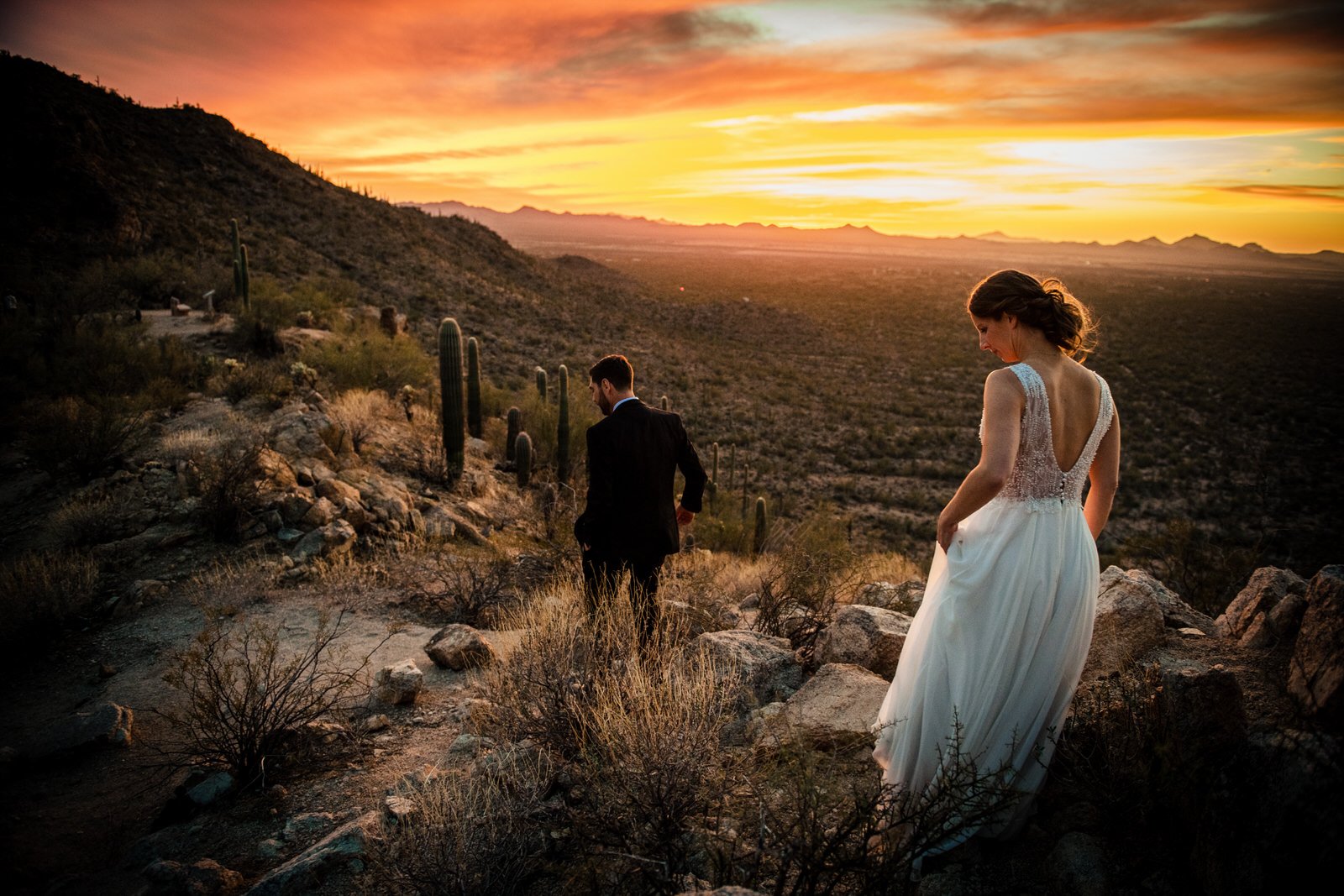 ArizonaElopement-SaguaroNationalPark-CarolineandLuke-Sunset-6257.jpg