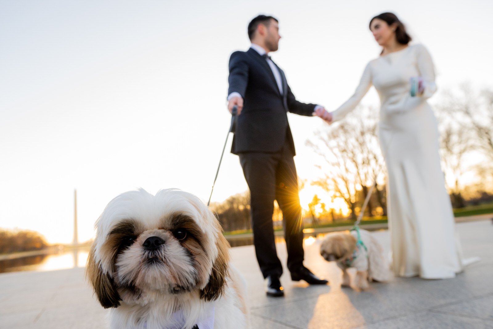 DC_Lincoln_Memorial_Elopement_P&P_Washington_Memorial-6513.jpg