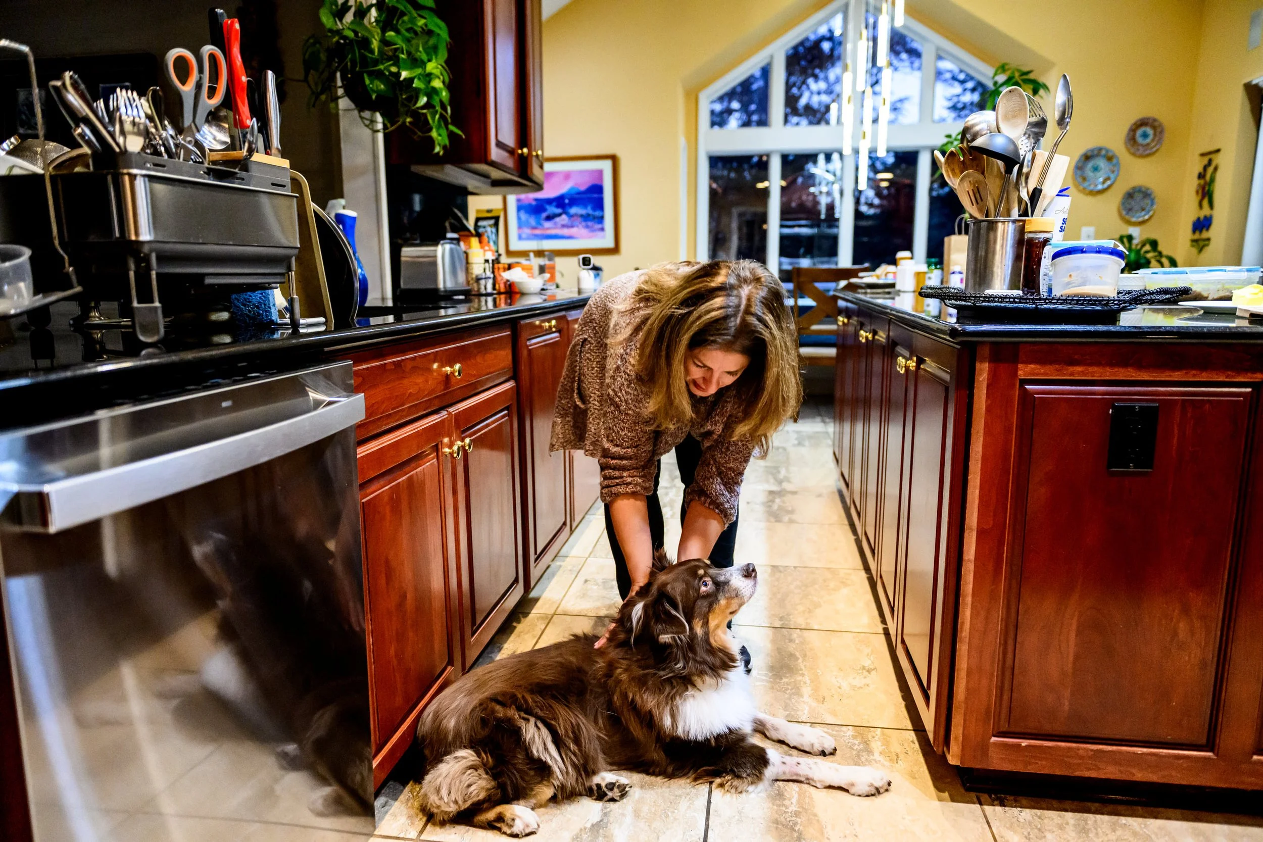 Maryland-Pet-Photography-Irene-Pups-8095.jpg