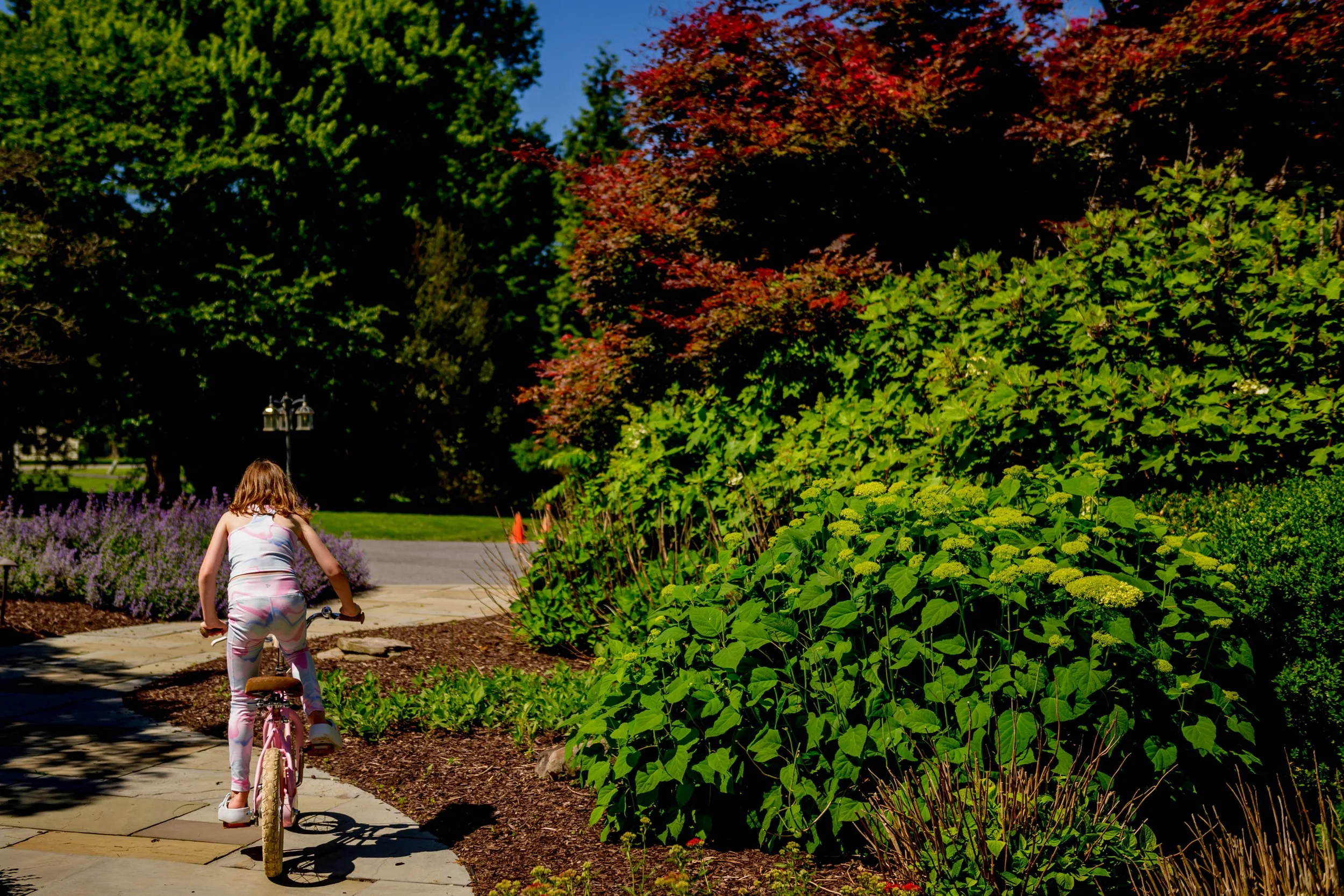 Day-in-the-Life-of-the-Manyak-Davis-Family-Maryland-Family-Photographer-3881.jpg