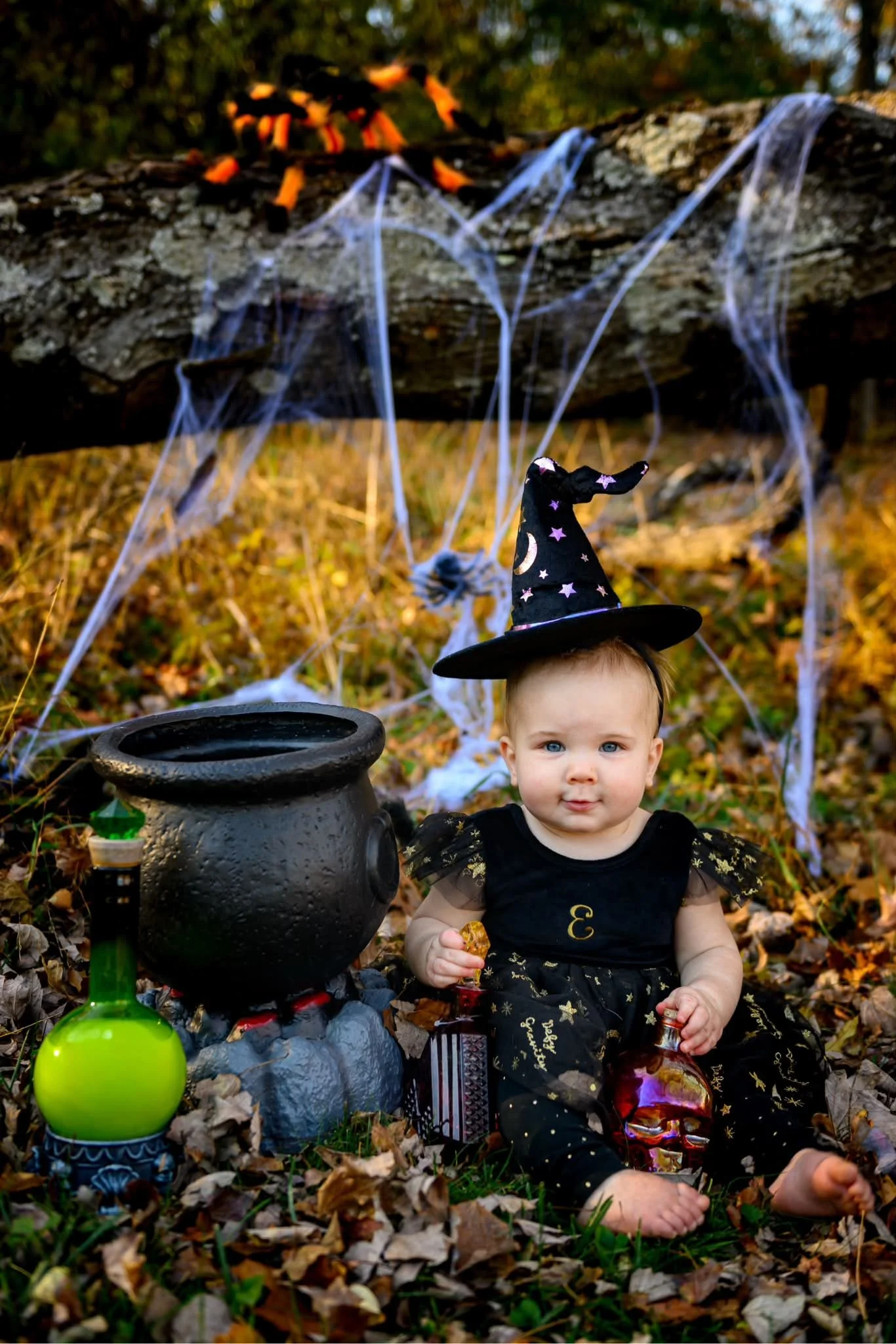 This year it&rsquo;s all about creating a little witchy magic ! As a lover of all things Halloween I am opening a new style of photoshoot this fall ! For a limited number of days we will be working with people to create wickedly fun photos ! 

Stay t