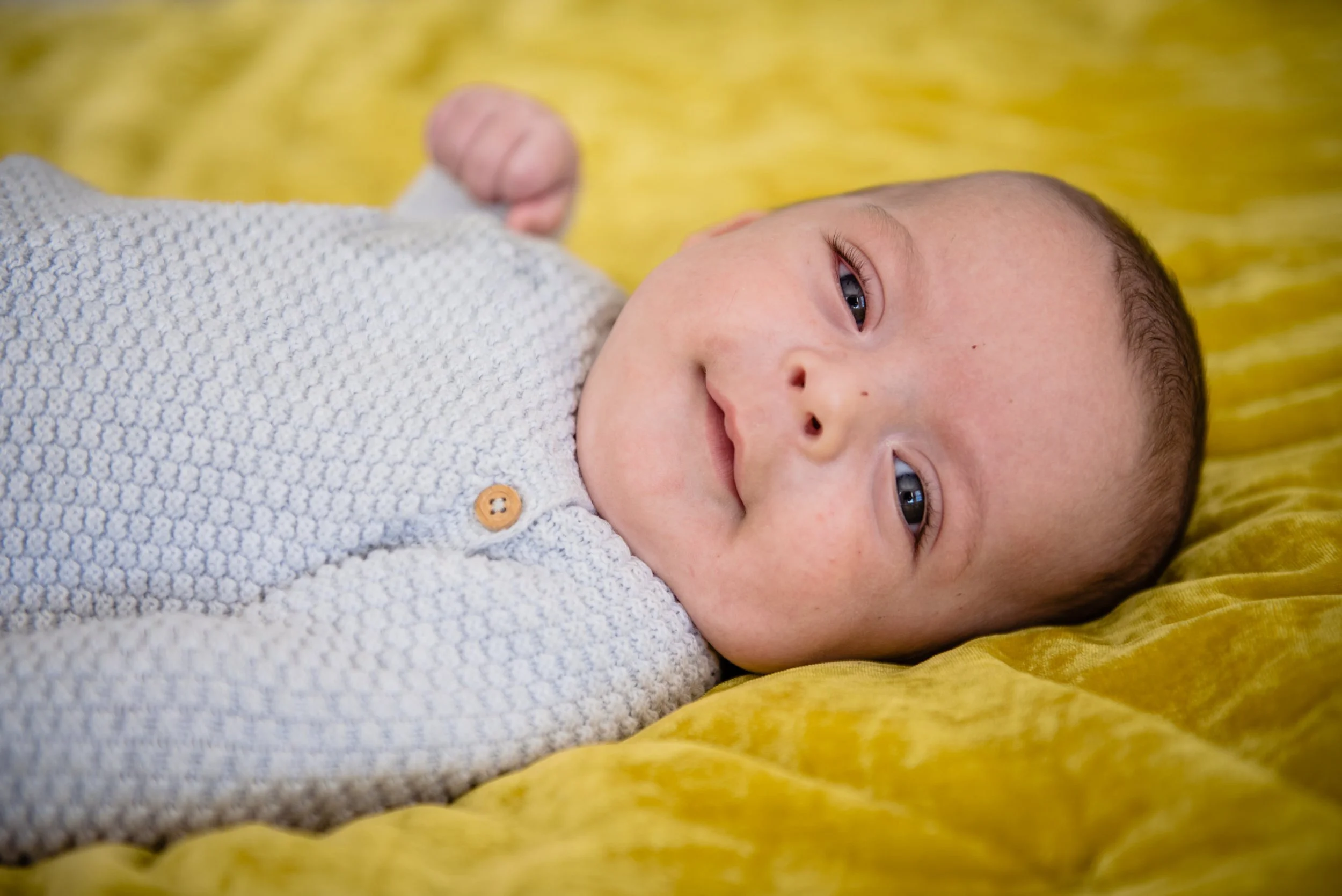 InHomeFallSession-NunnariFamily2019-4062.jpg
