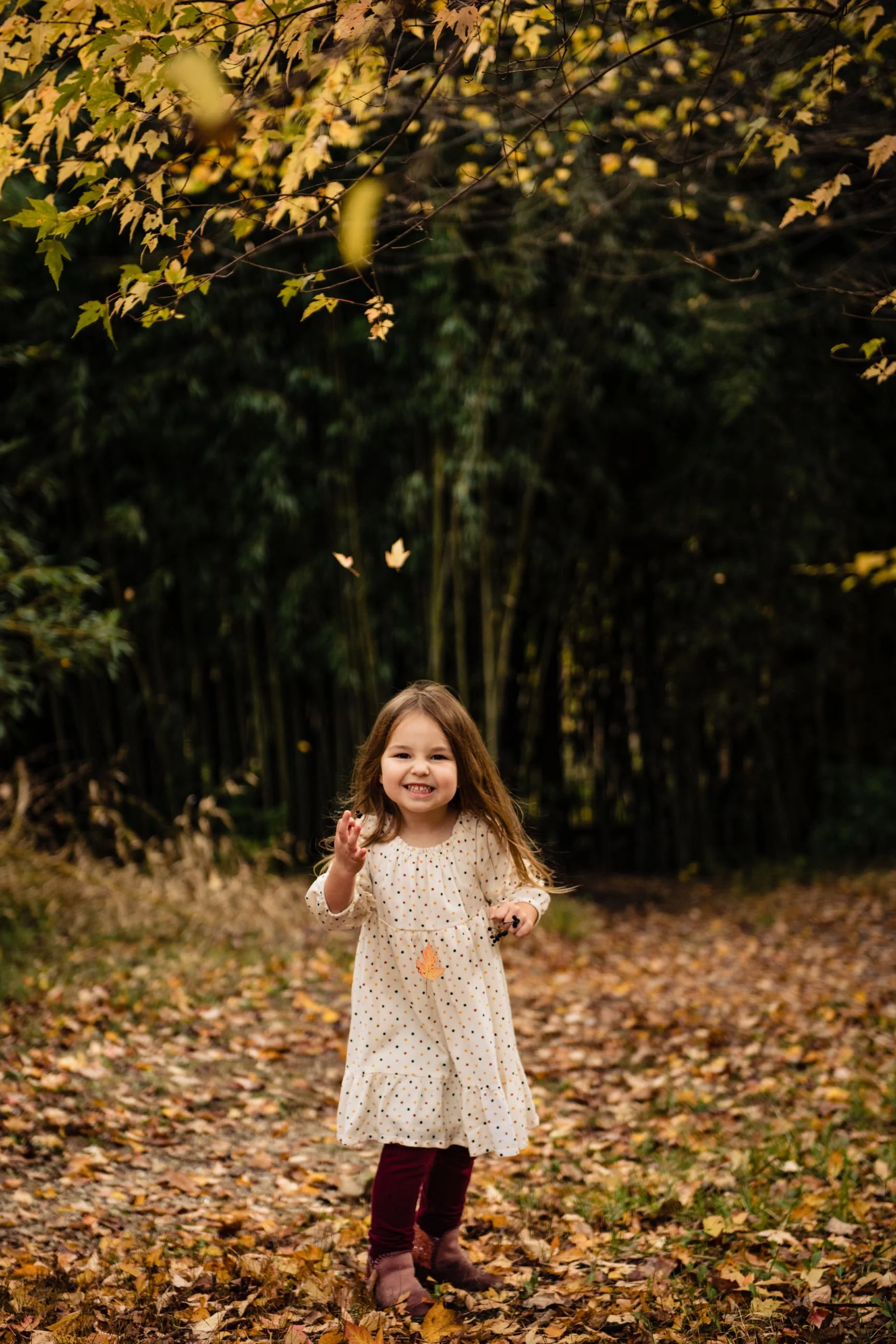 June2019Fall-CylburnArborteum-5981.jpg