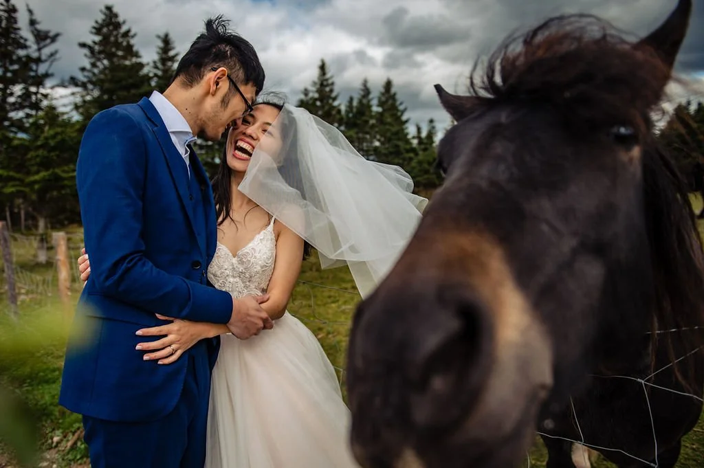 NewfoundlandWedding-Joy&Ray-DayAfter-8552.jpg
