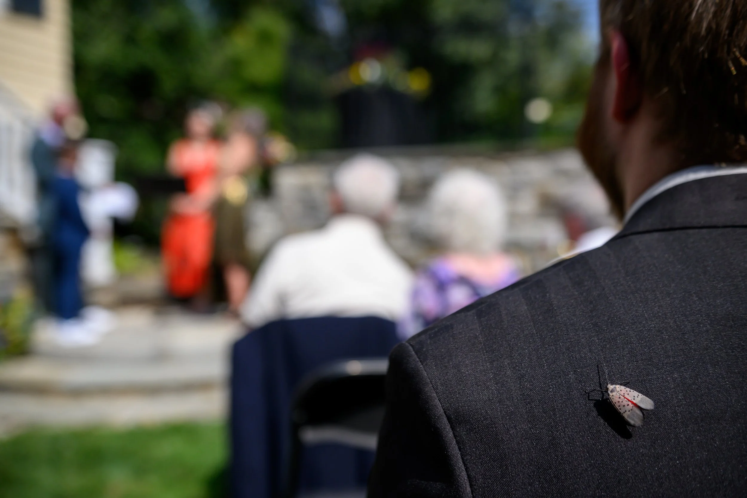 Backyard-Baltimore-Wedding-Portraits-Taryn-and-Evan-Ceremony-6687.jpg