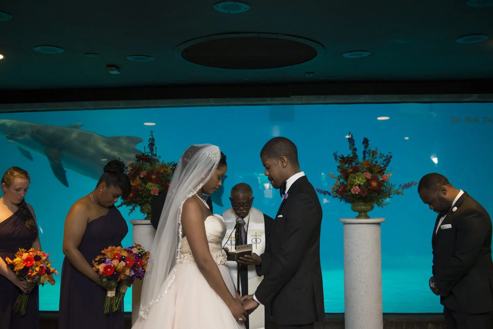 BaltimoreAquariumWedding-L'Oreal&Jeff557.jpg