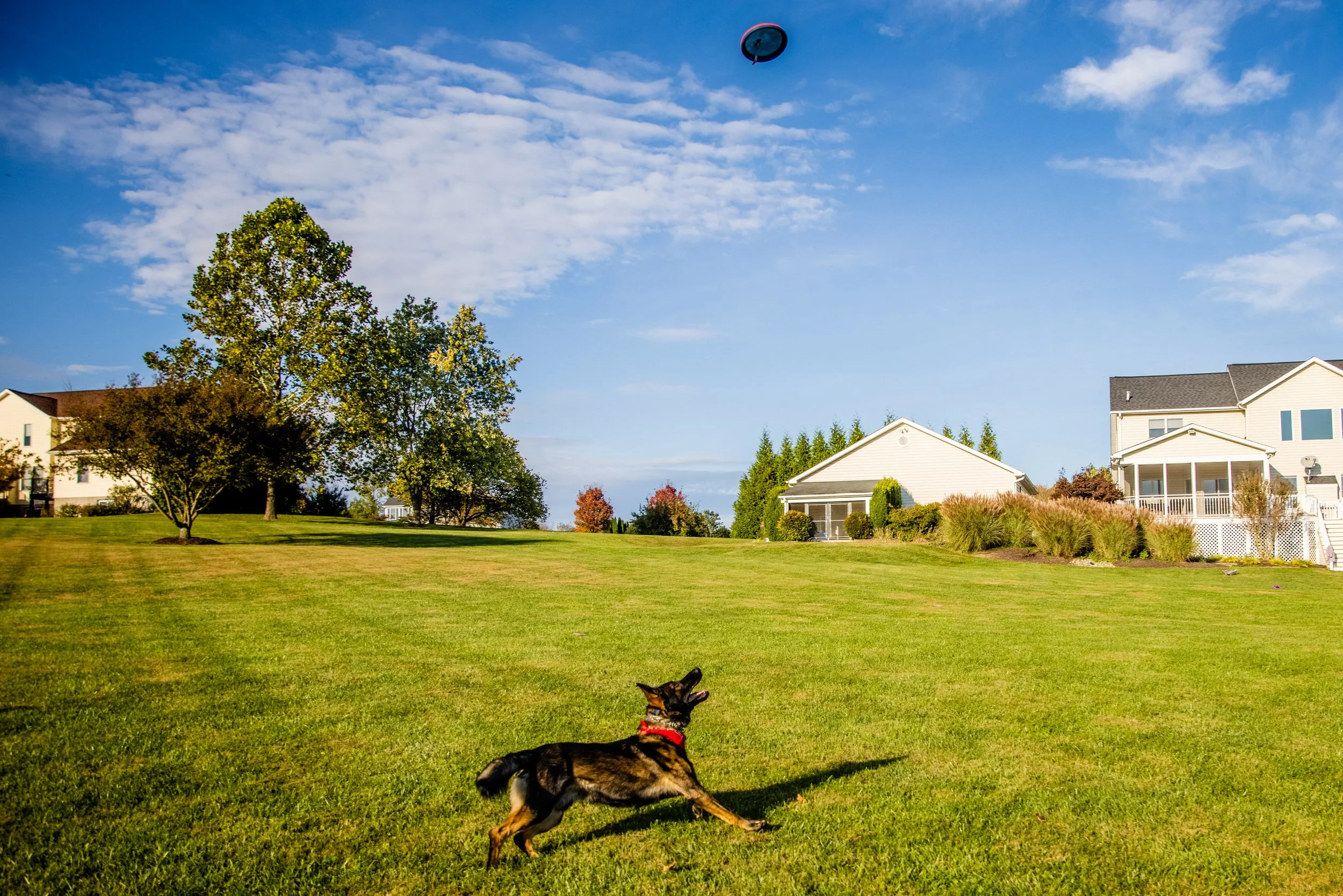 Maryland_Family_Photographer_SFamily_Westminster_Fall2021-7445.jpg