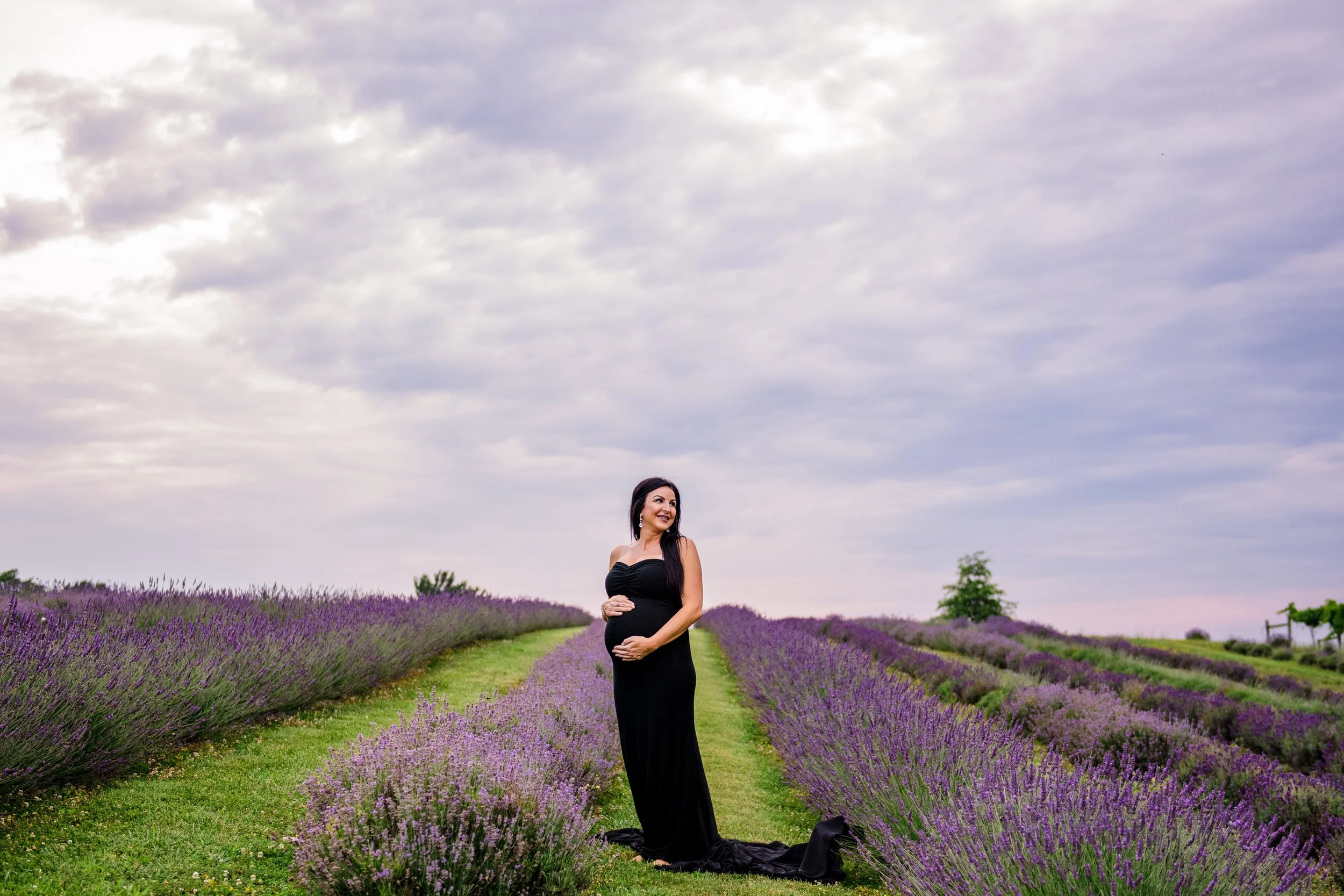 LindsayMaternity-LavendarField-6403.jpg