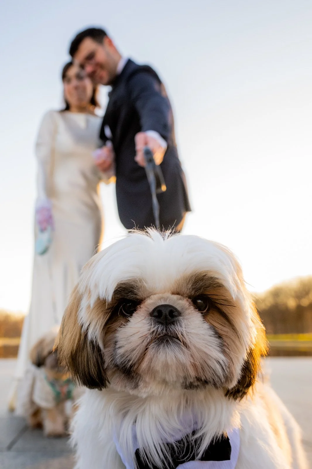 DC_Lincoln_Memorial_Elopement_P&P_Washington_Memorial-6915.jpg