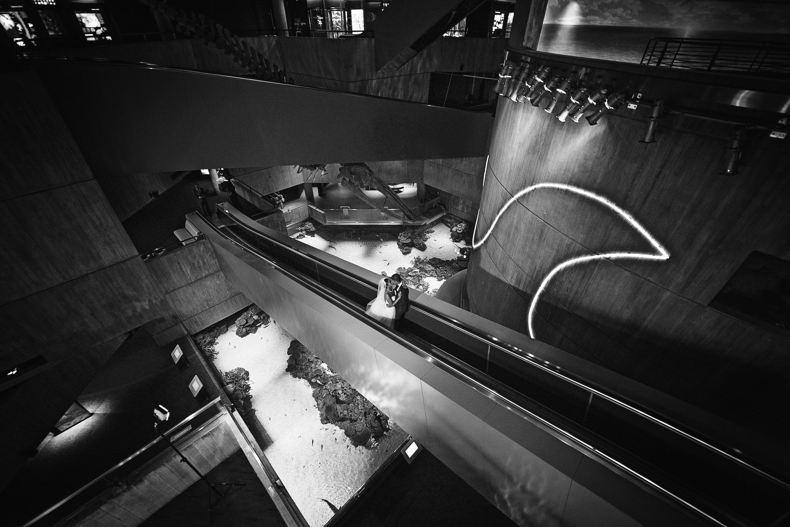 BaltimoreAquariumWedding-L'Oreal&Jeff1135.jpg