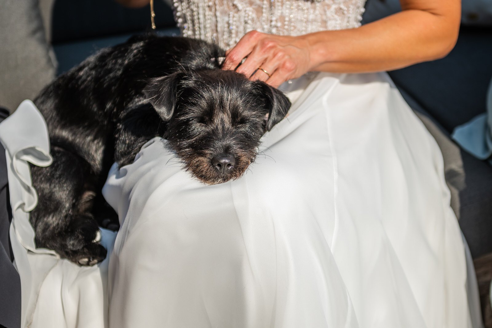 TheLineHotelDCWedding - CarolineandLuke - Reception-7575.jpg