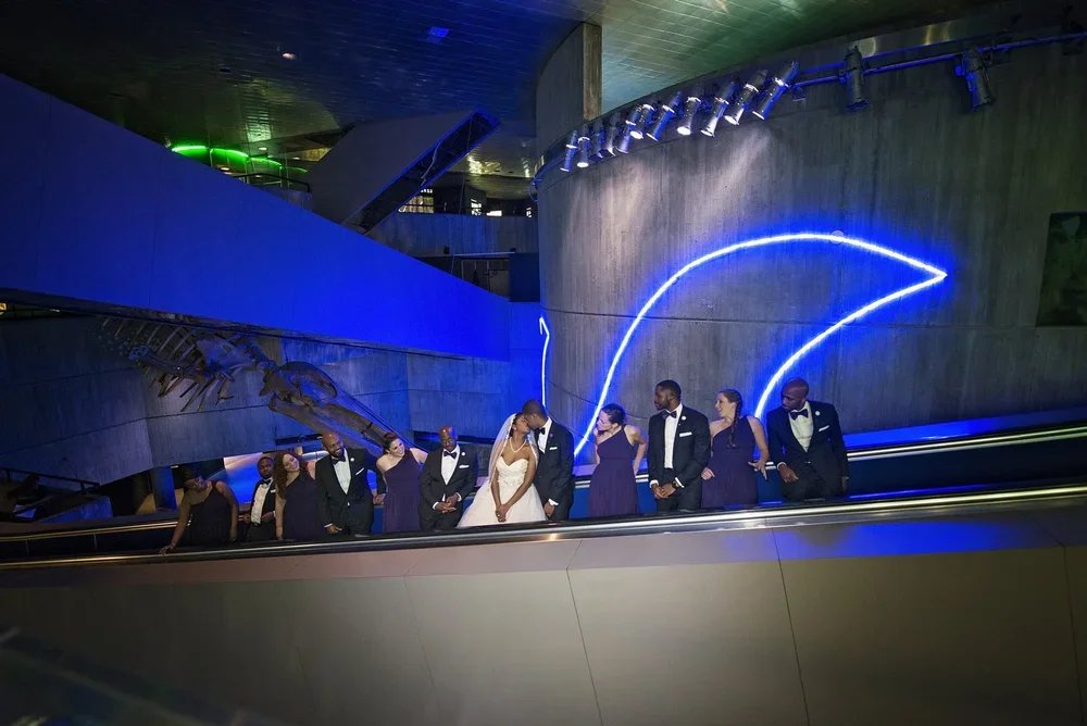 Baltimore Aquarium Wedding - Baltimore Wedding Photographer - Maryland Wedding Photography - Love and Adventure Photography