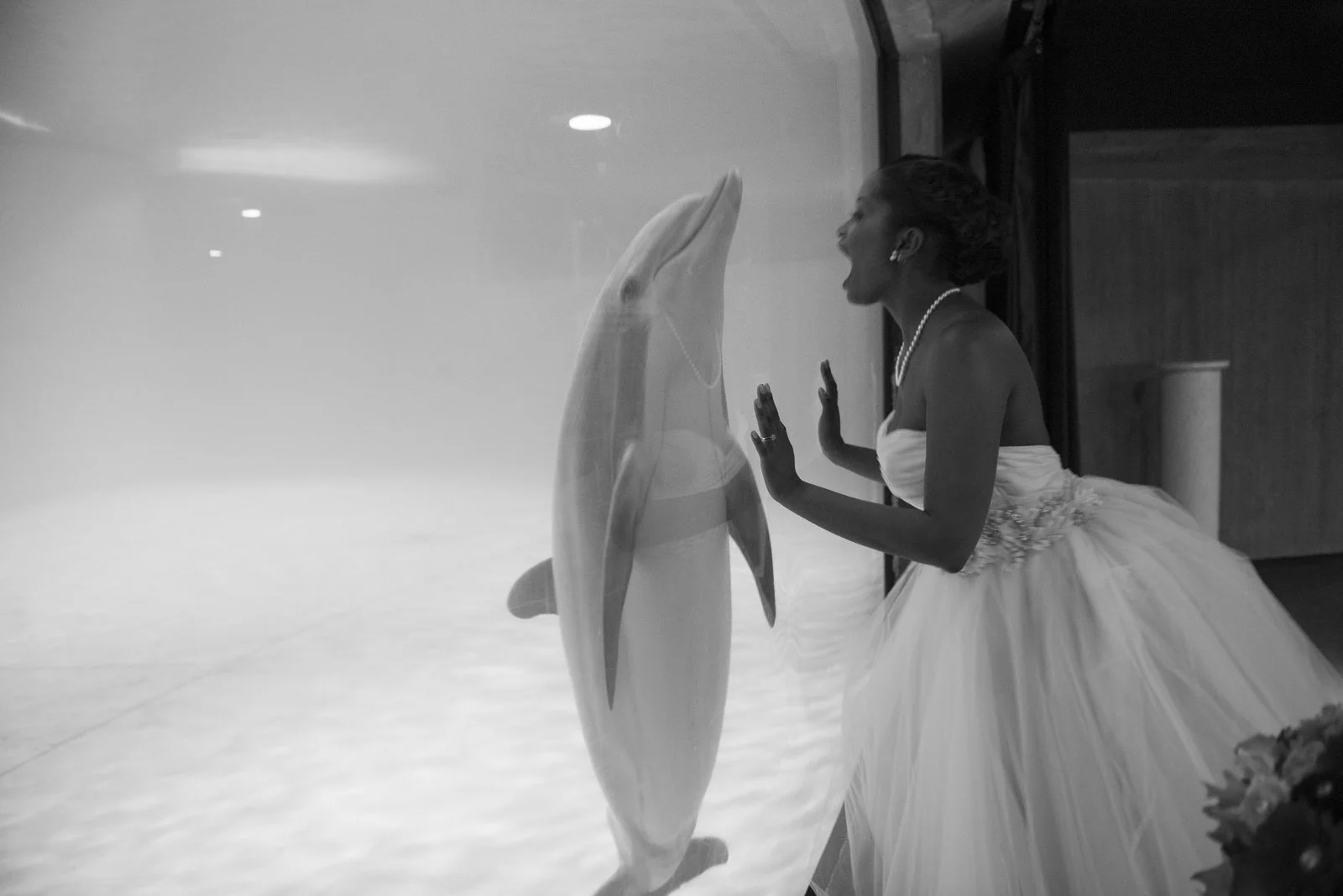 BaltimoreAquariumWedding-L'Oreal&Jeff1155.jpg