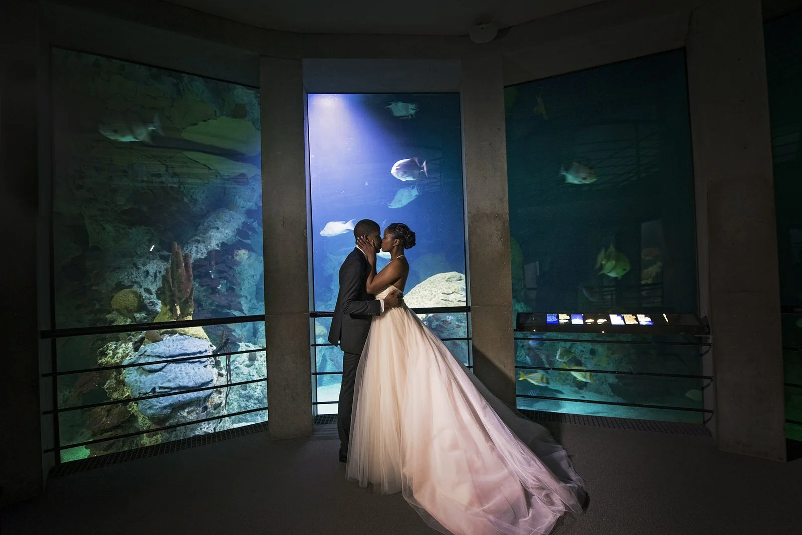 BaltimoreAquariumWedding-L'Oreal&Jeff751.jpg