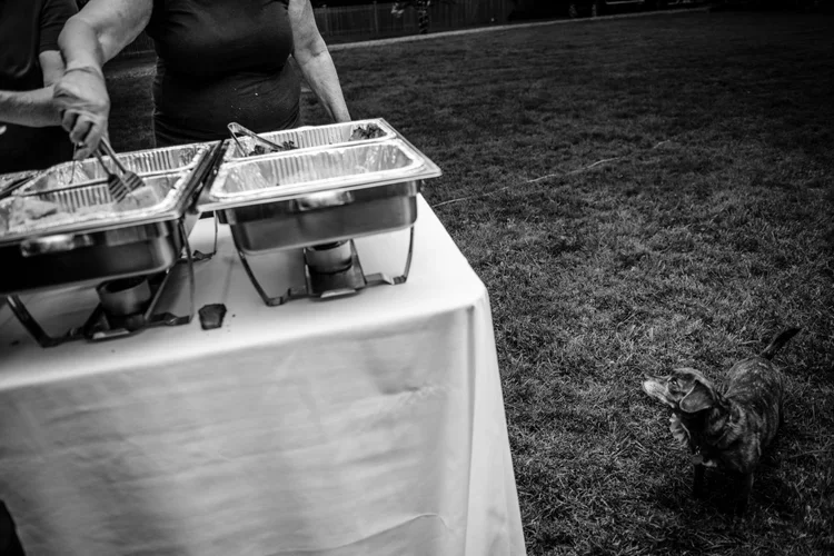 Washington-DC-Wedding-Photography-Love-and-Adventure-Photography29.jpg.webp
